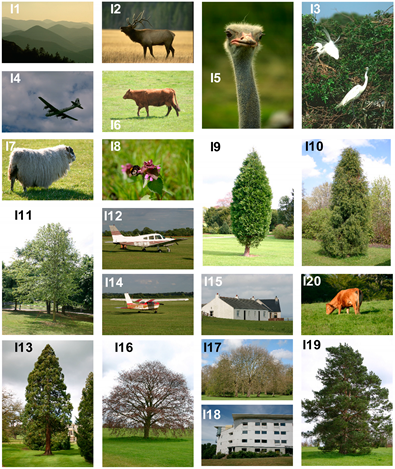 Sensors 20 06429 i001