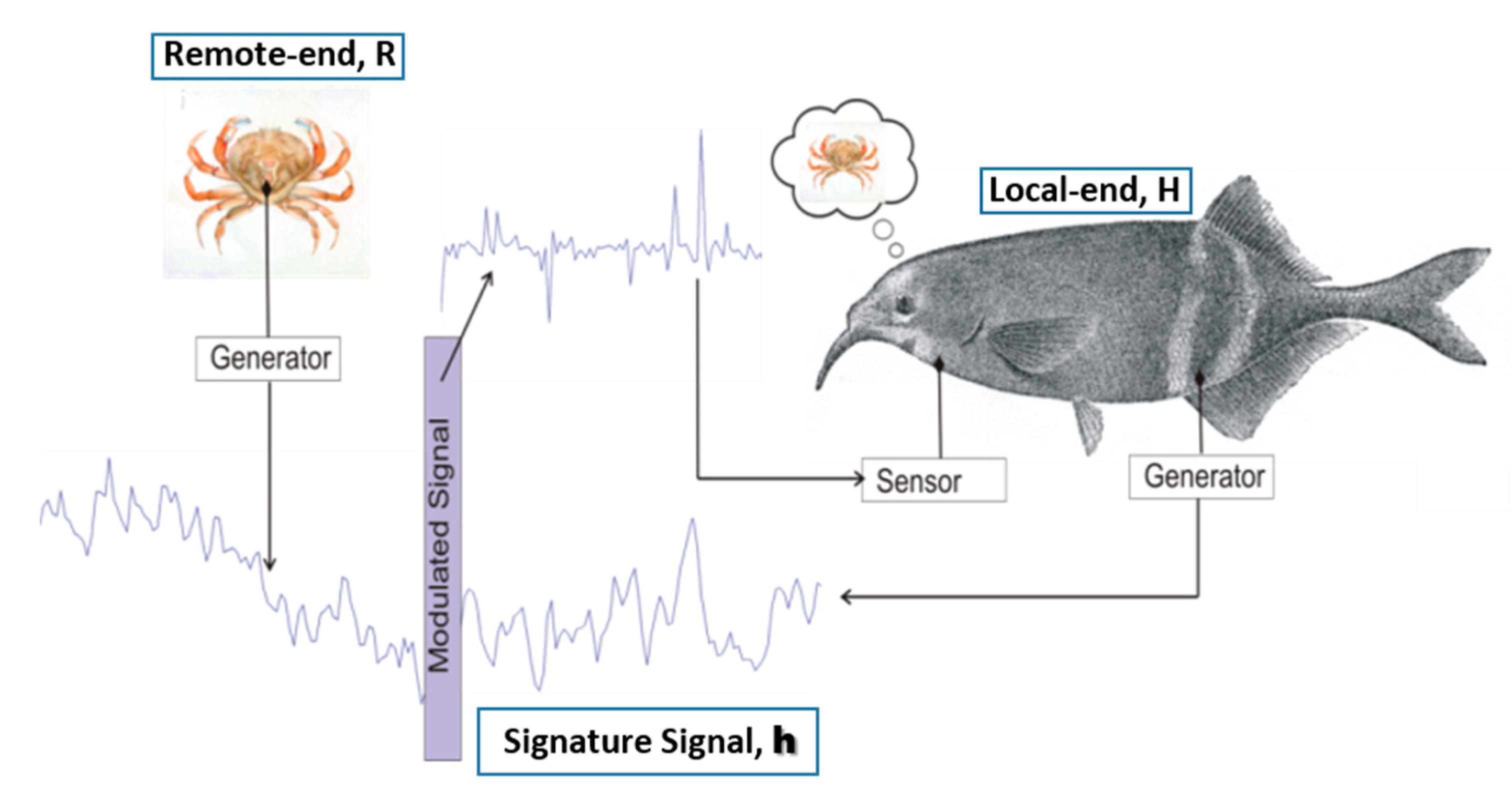 Sensors 20 06461 g002