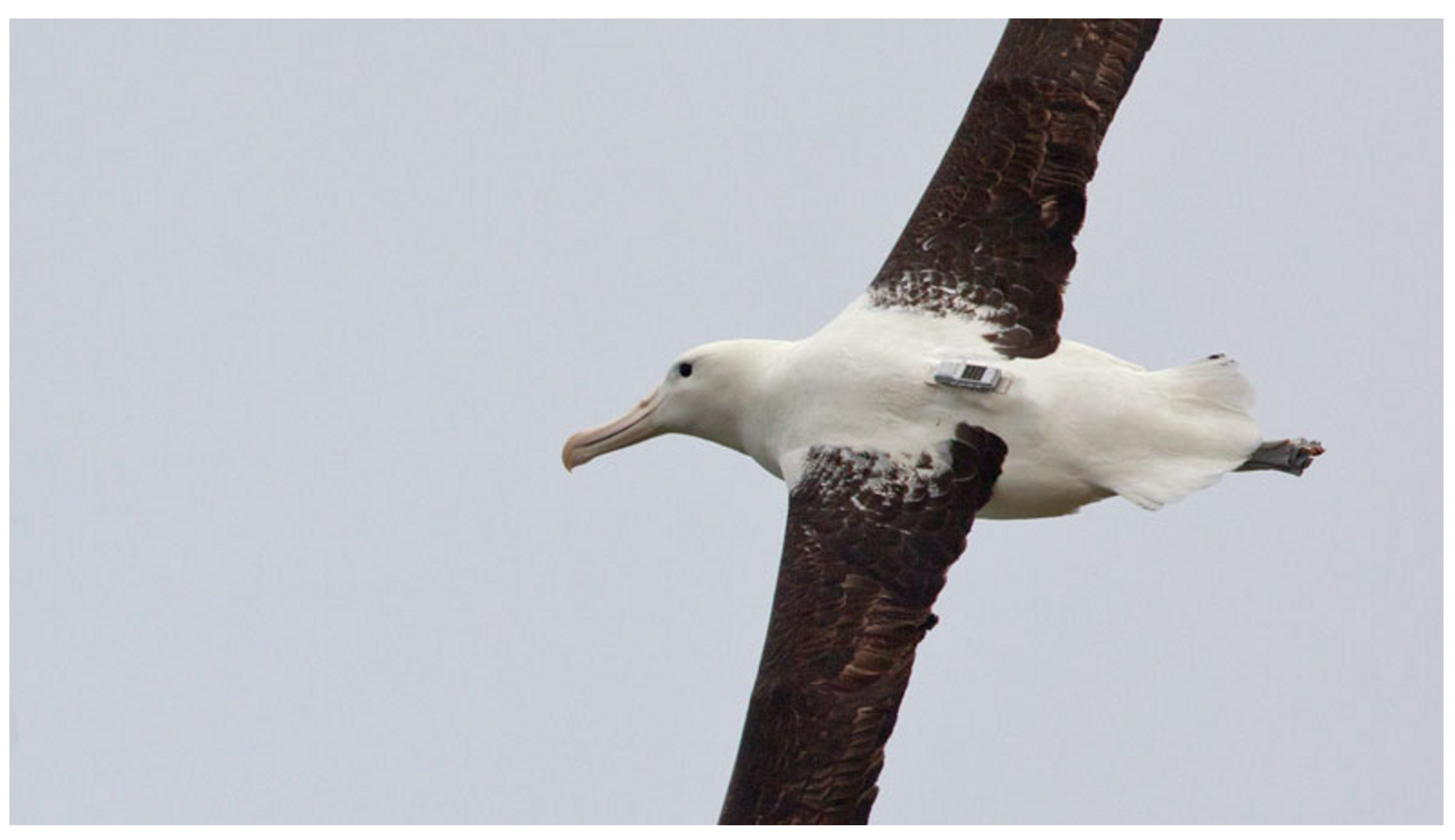 Sensors 20 06480 g008