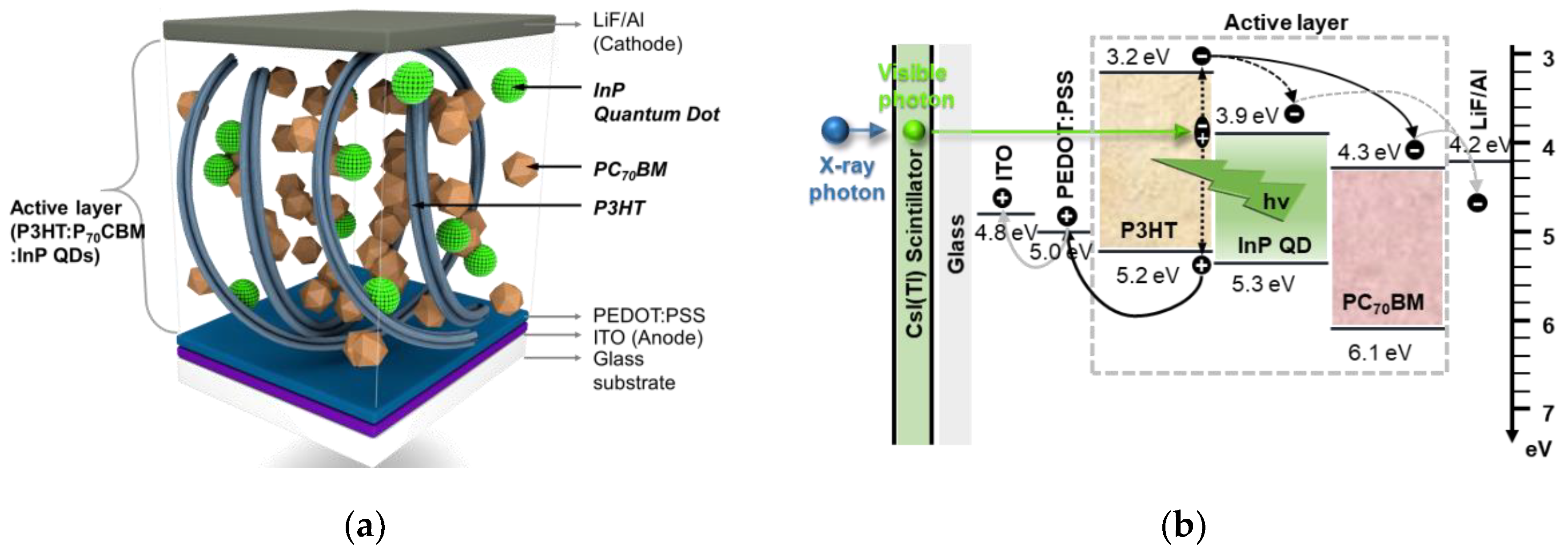 Sensors 20 06562 g001 Sensors 20 06562 g001