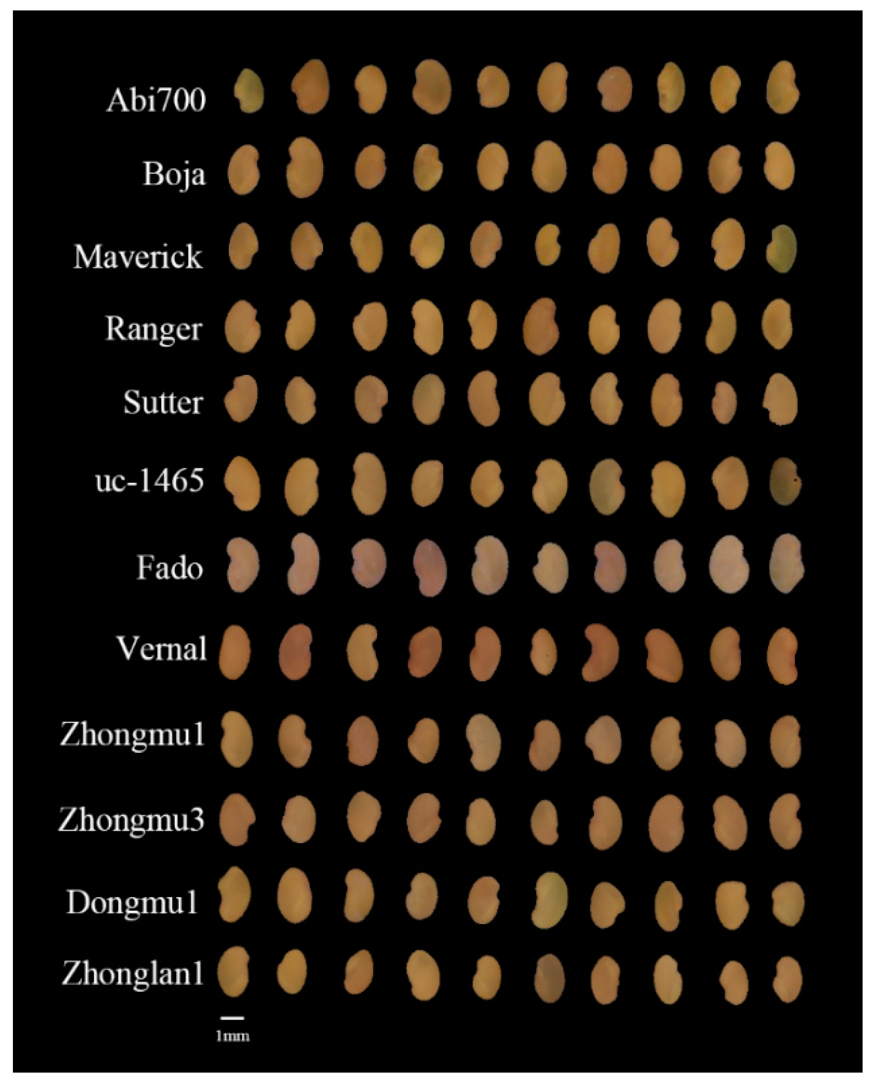 Sensors 20 06575 g001 Sensors 20 06575 g001