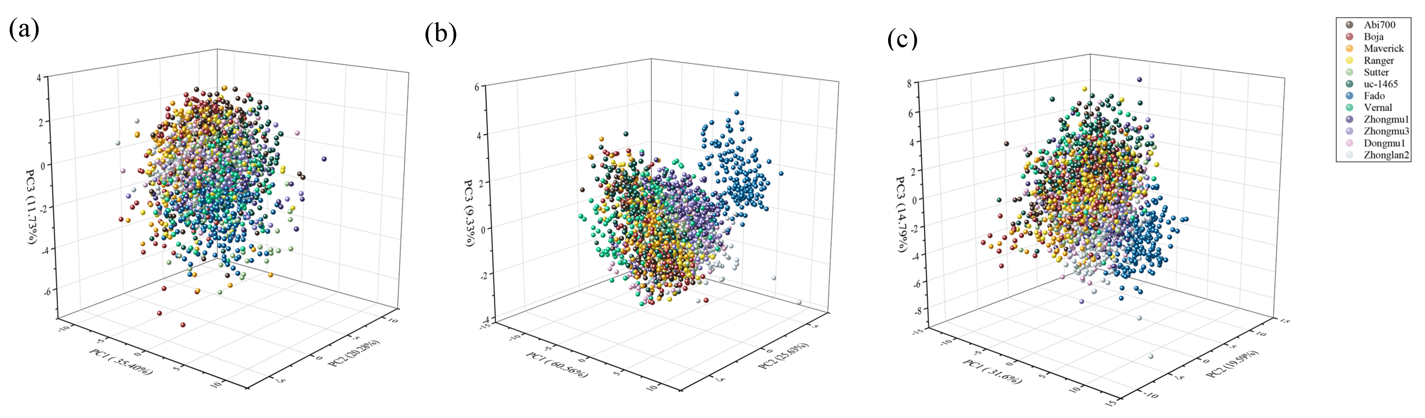Sensors 20 06575 g002 Sensors 20 06575 g002