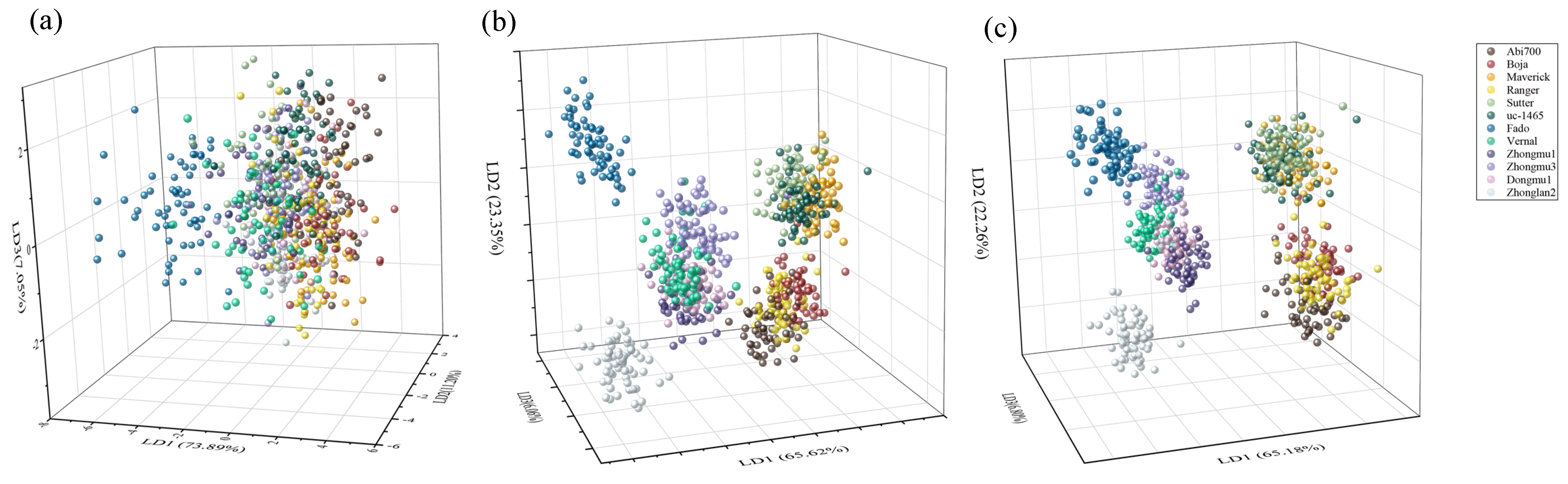 Sensors 20 06575 g004 Sensors 20 06575 g004
