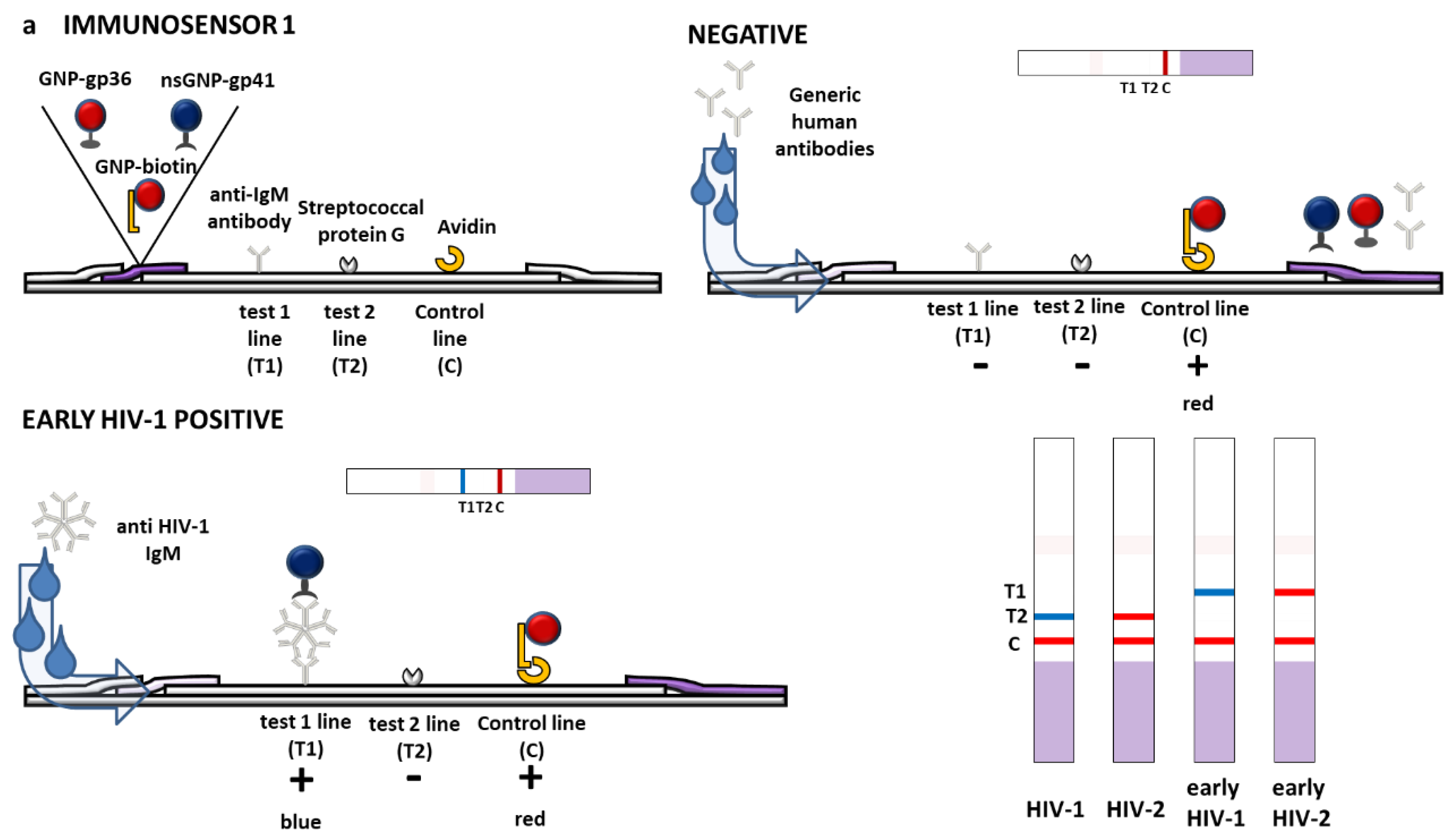 Sensors 20 06609 g003a