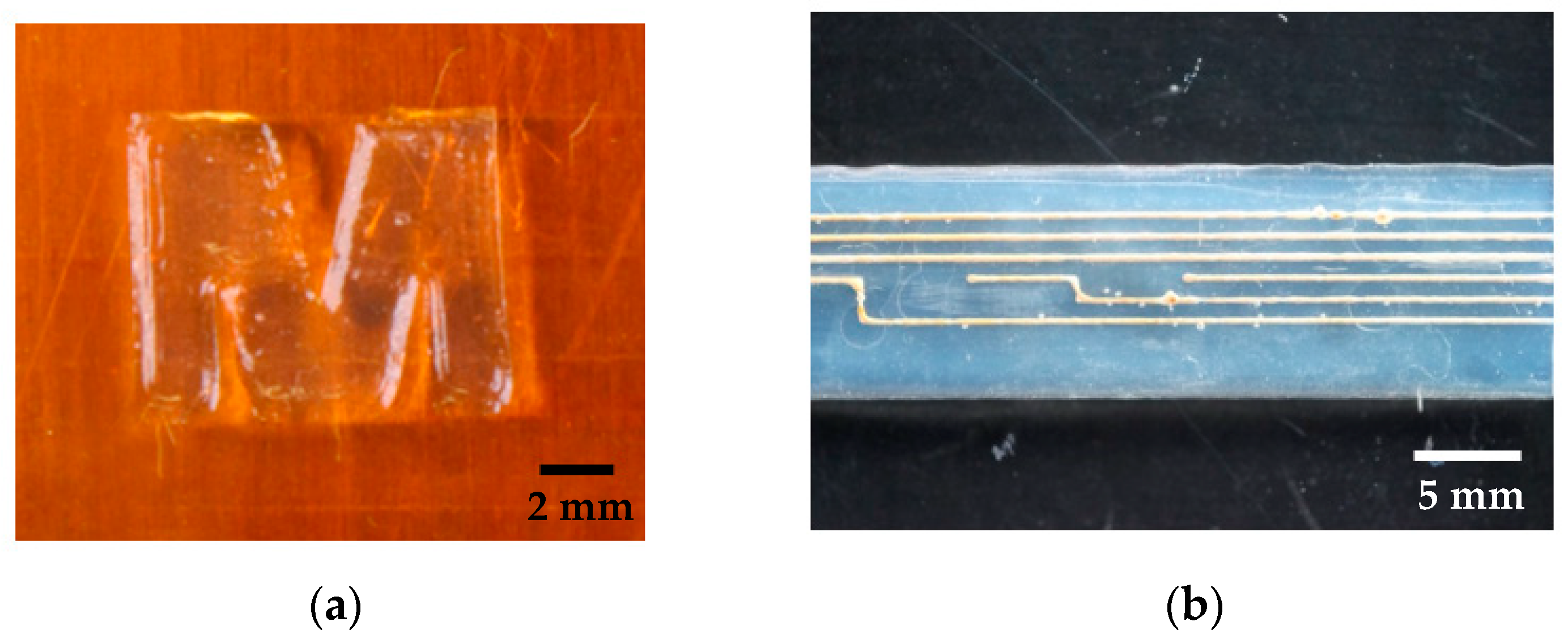 Sensors 20 06614 g006