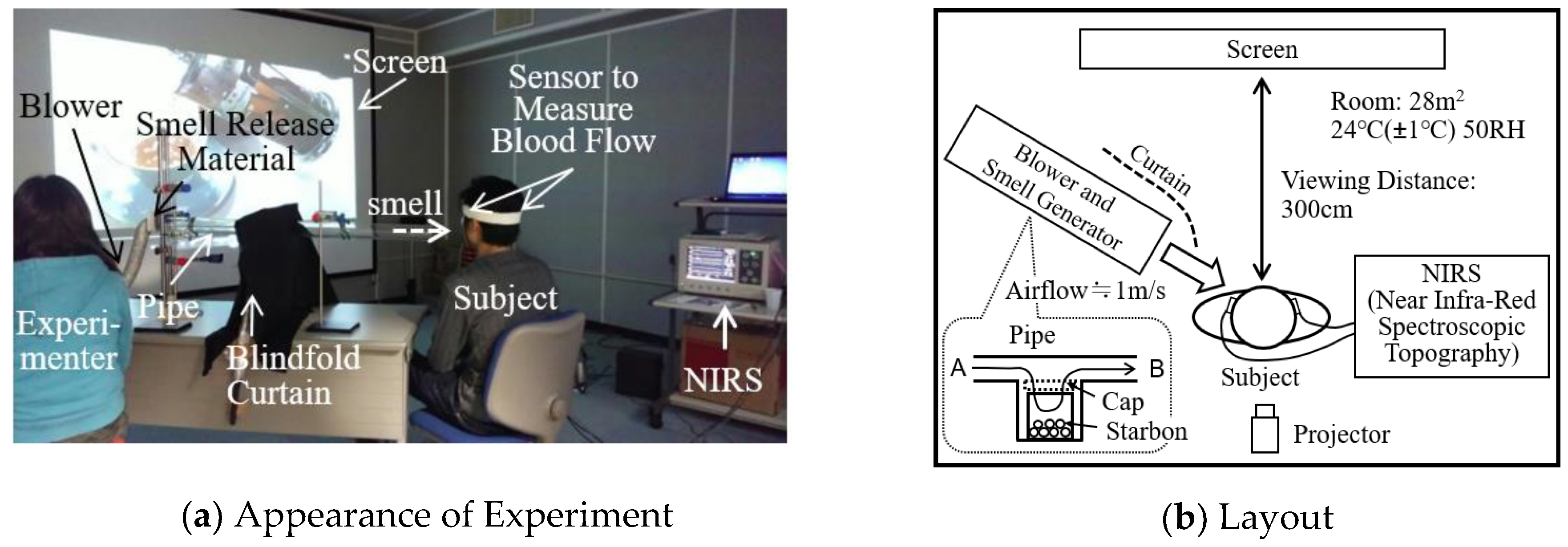 Sensors Free Full Text Cross Modal Effect Of Presenting Food Images On Taste Appetite Html