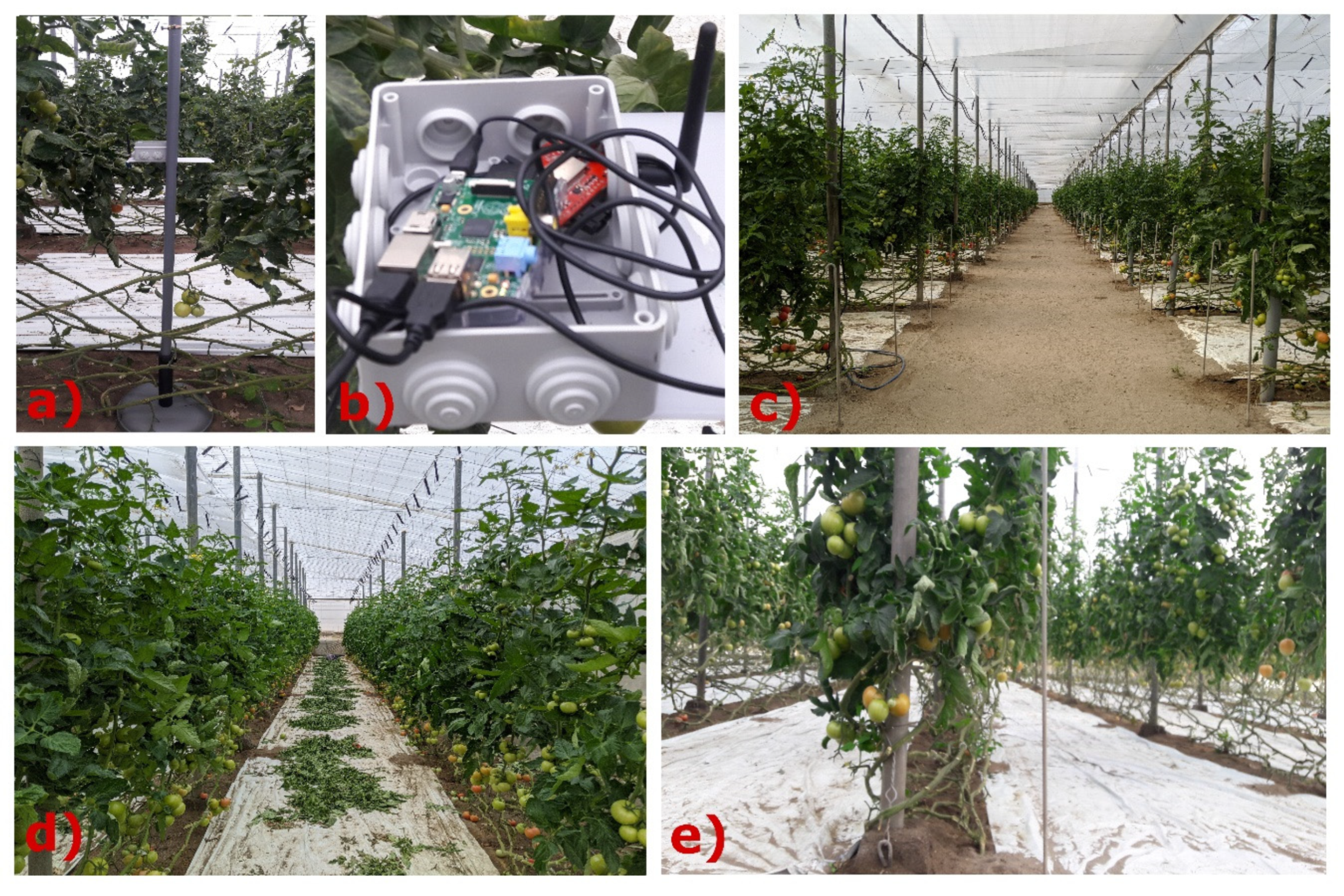 Sensors 20 06621 g001