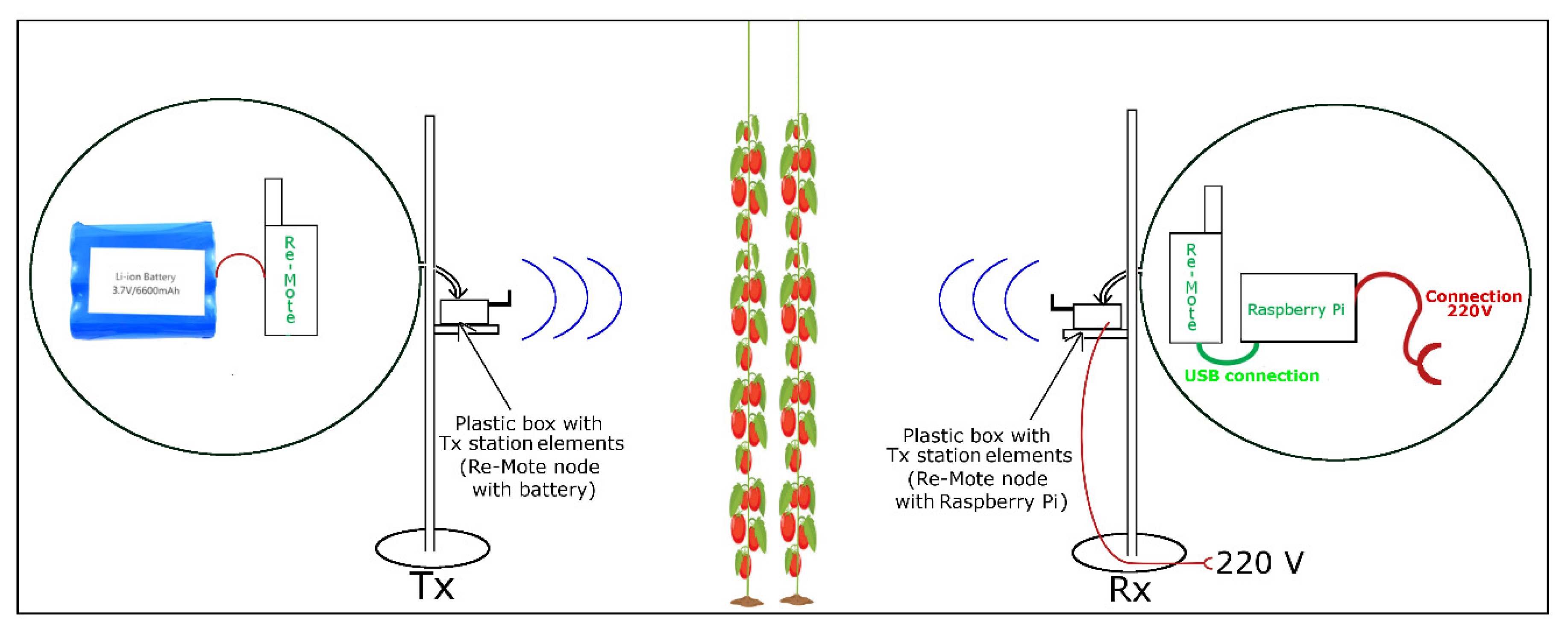 Sensors 20 06621 g002