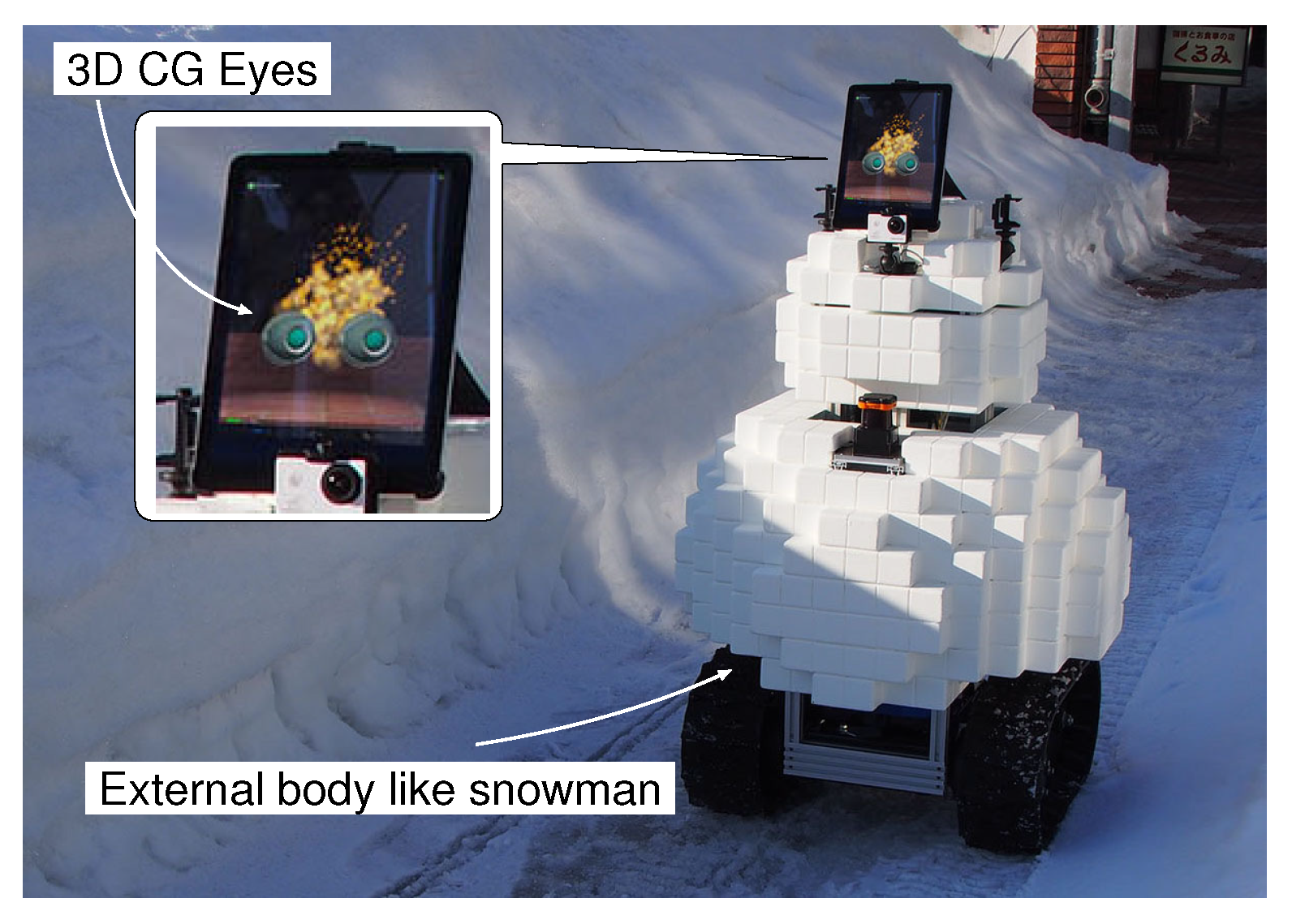 Sensors 20 06629 g001