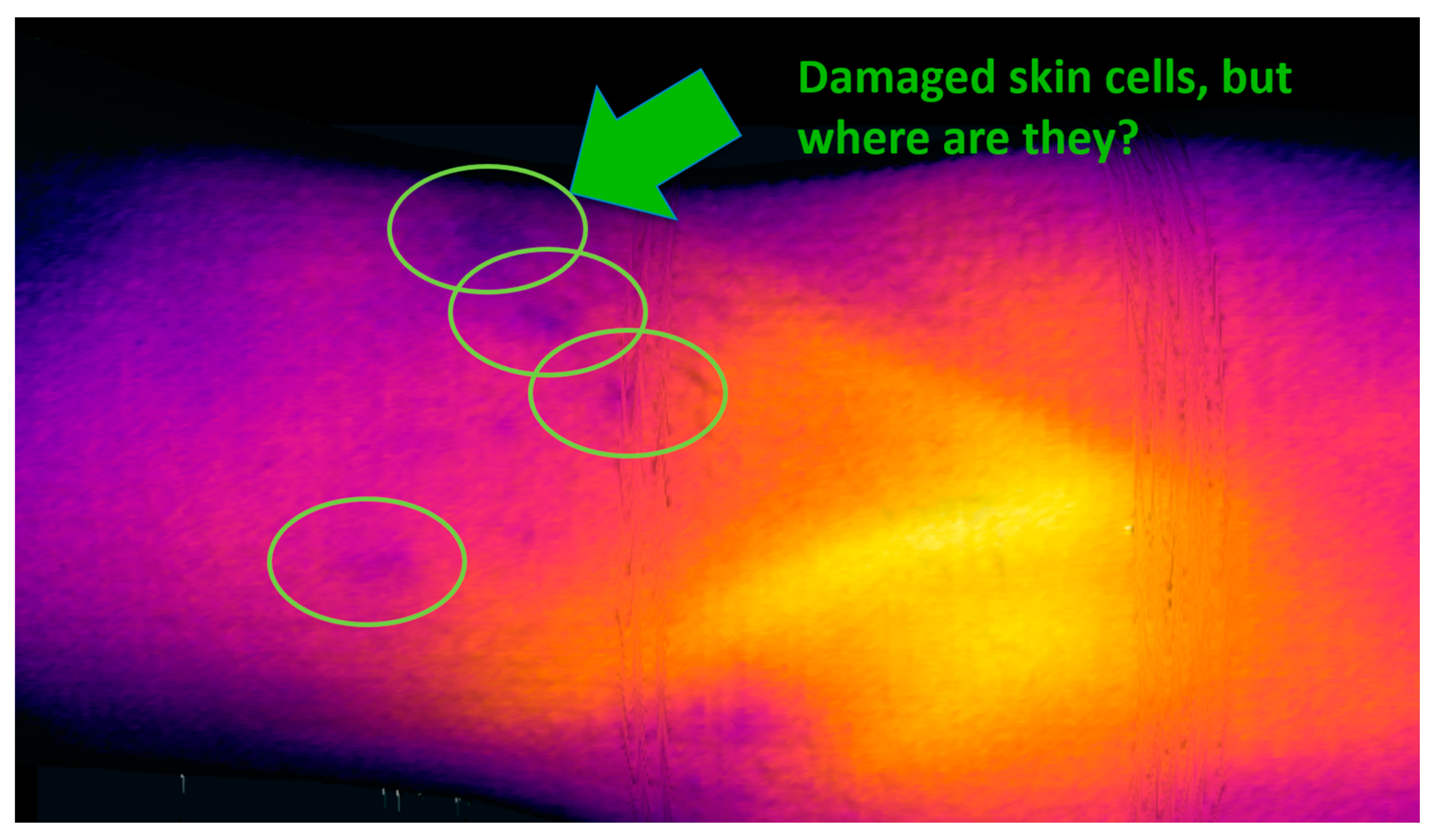 Sensors 20 06656 g002