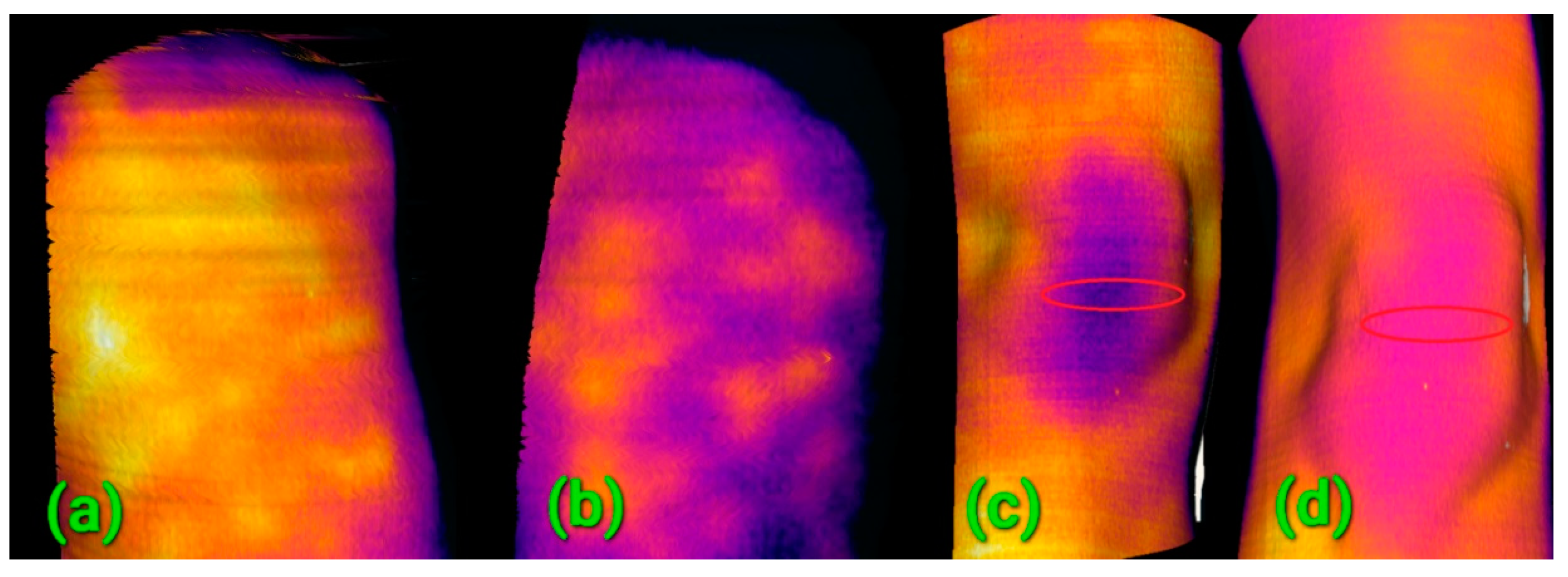 Sensors 20 06656 g014