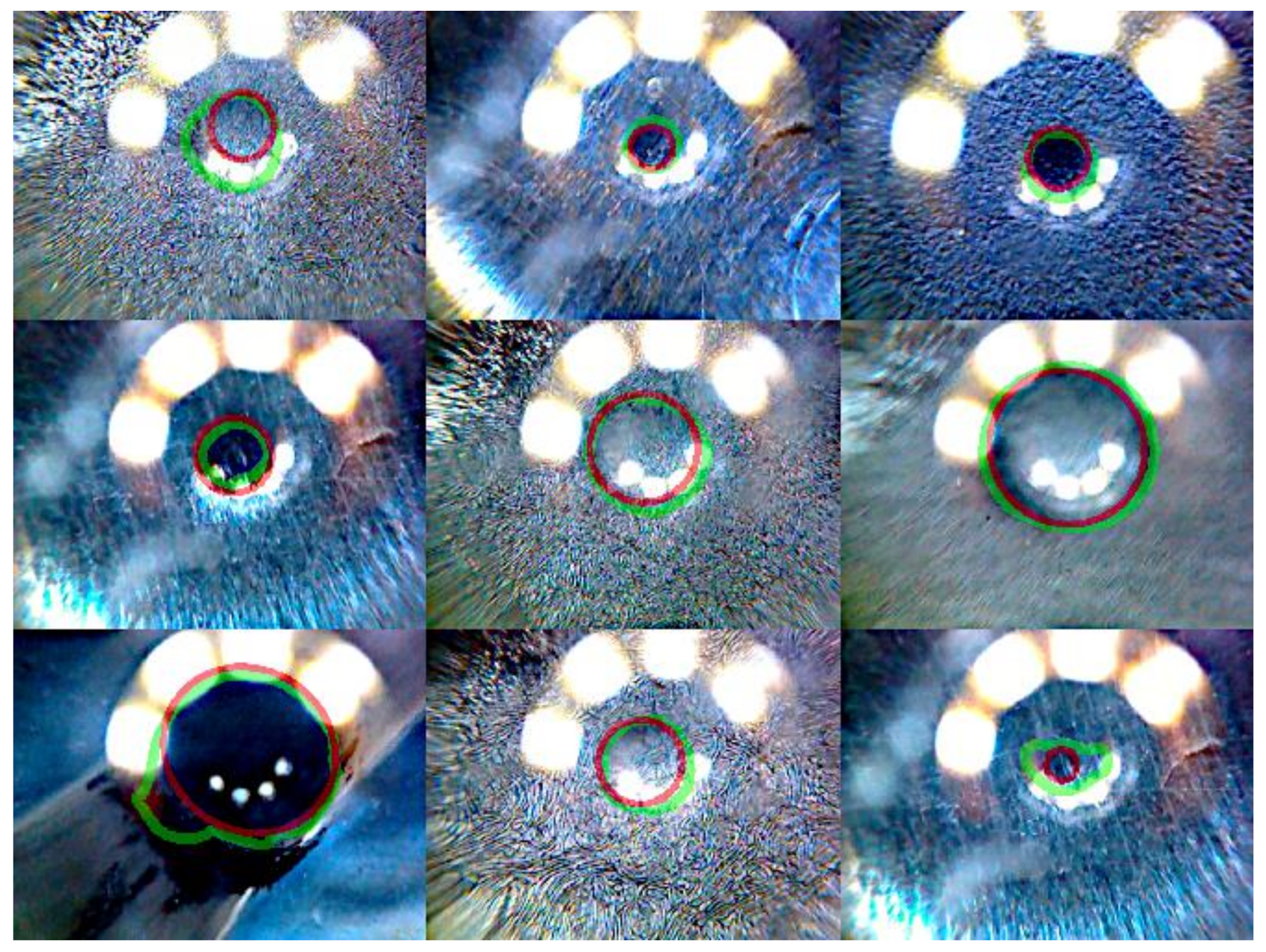 Sensors 20 06703 g009 Sensors 20 06703 g009