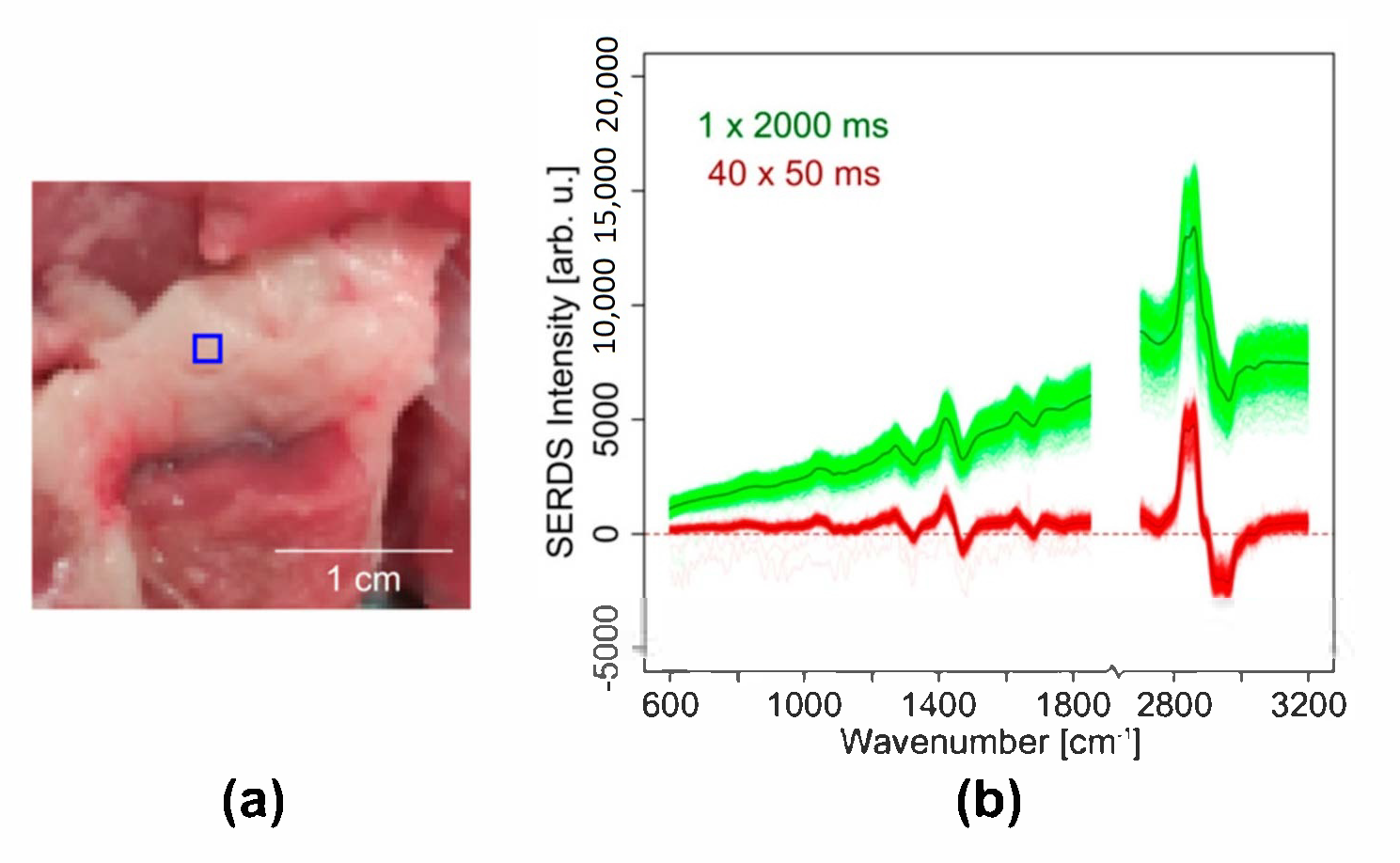 Sensors 20 06723 g007 Sensors 20 06723 g007