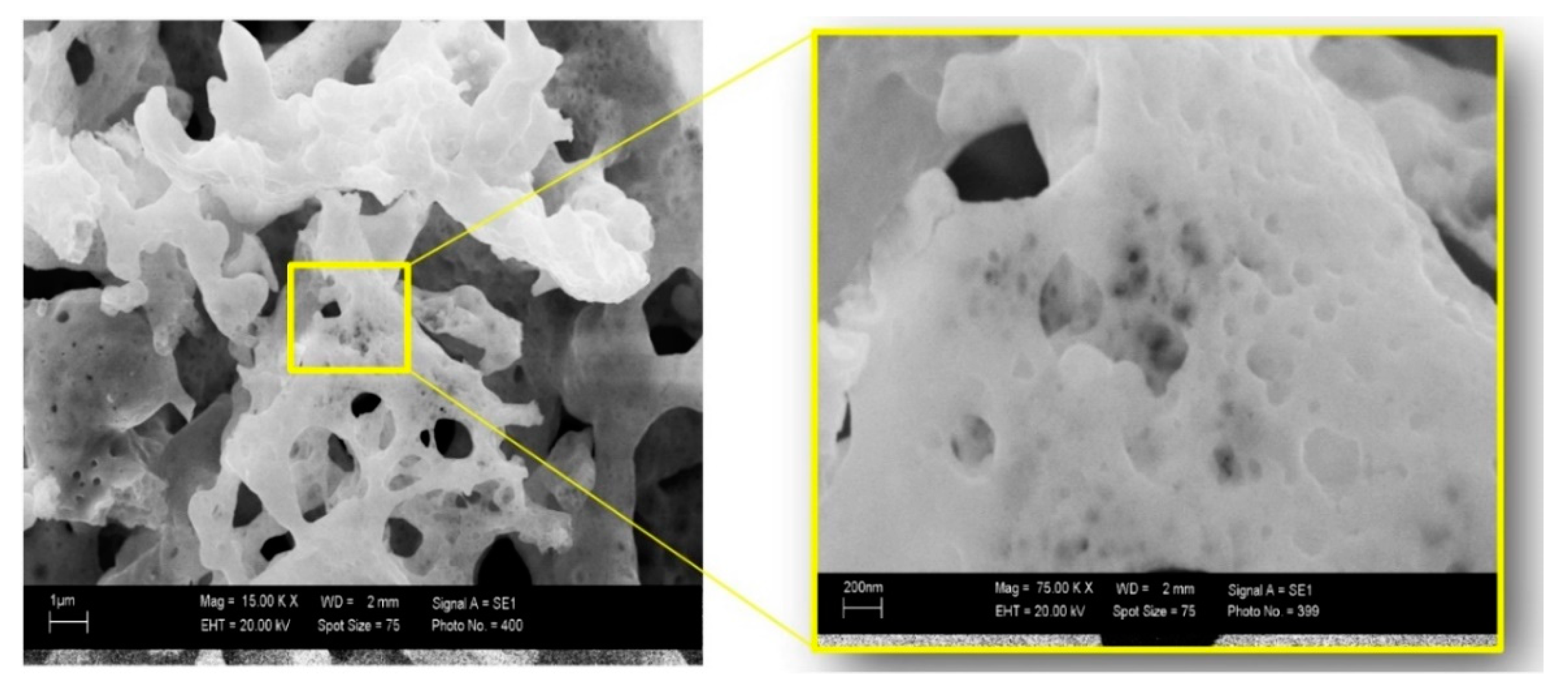 Sensors 20 06736 g001