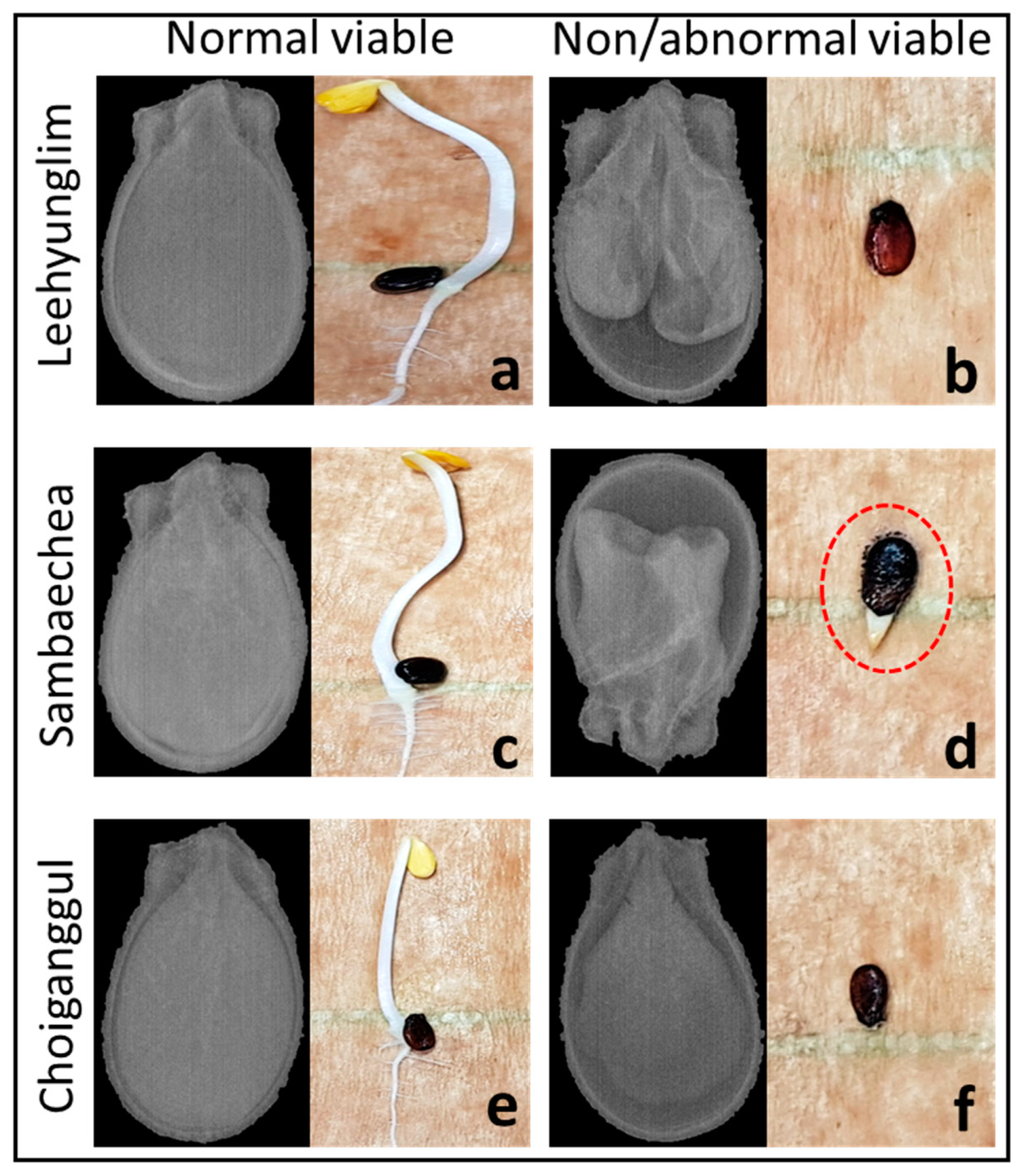 Sensors 20 06753 g008