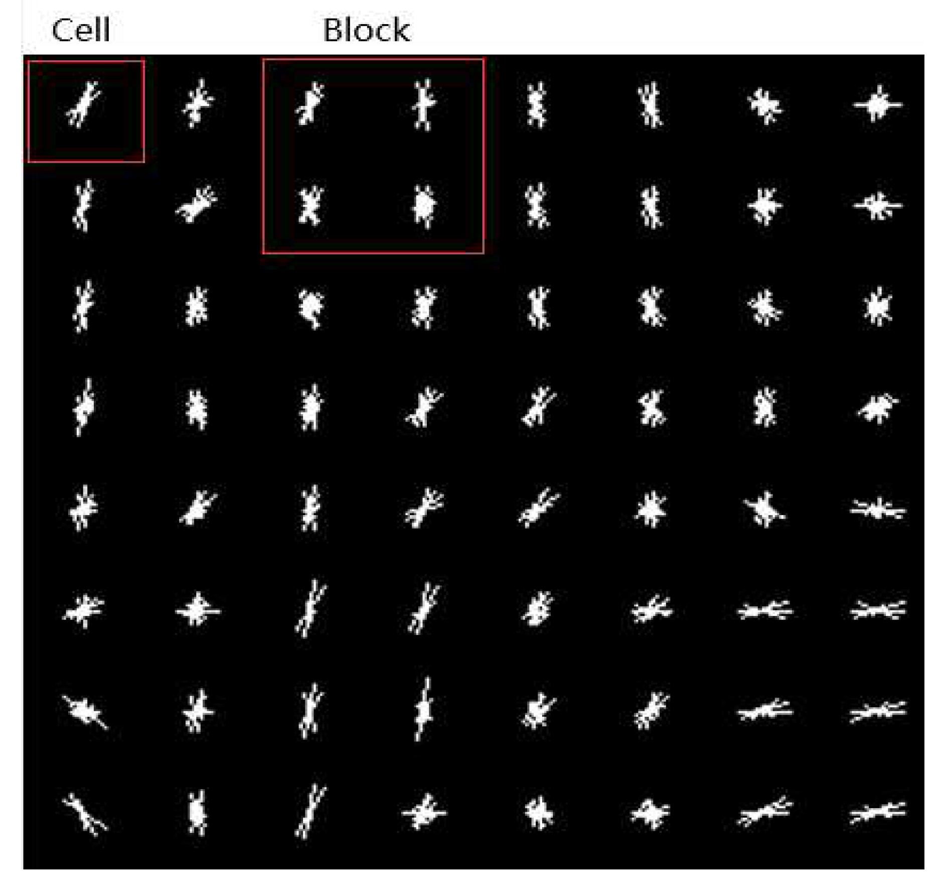 Sensors 20 06754 g008 Sensors 20 06754 g008