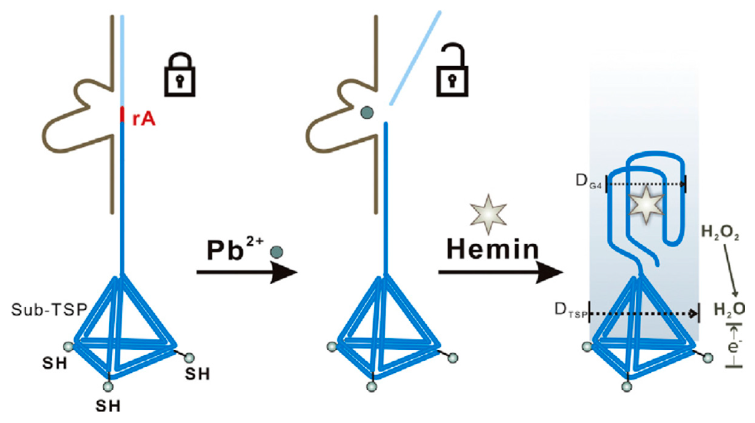 Sensors 20 06800 g004