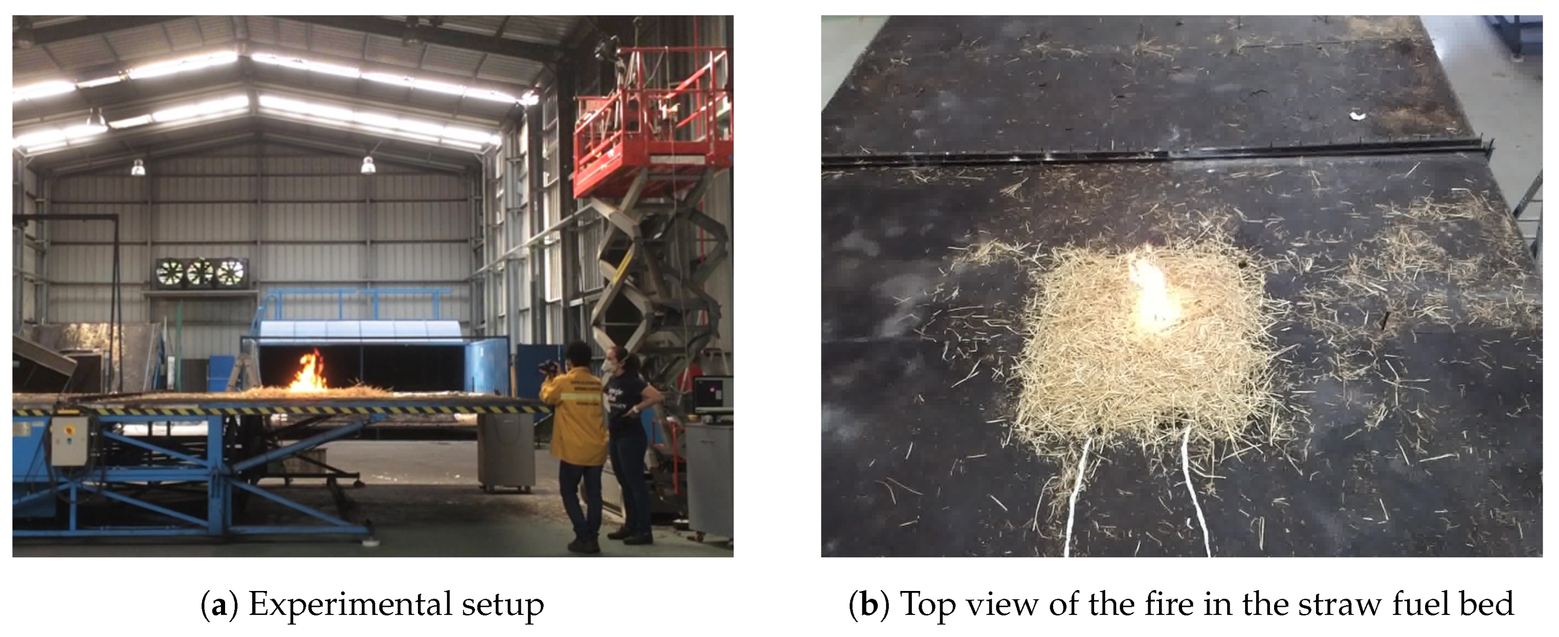 Sensors 20 06803 g011