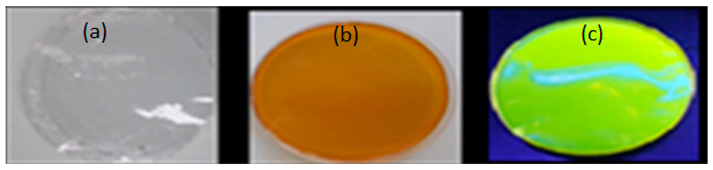 Sensors 20 06816 i023