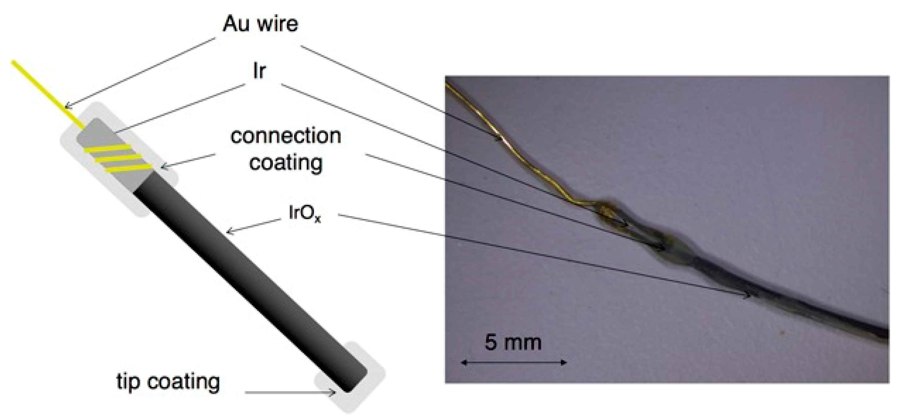 Sensors 20 06825 g003 Sensors 20 06825 g003
