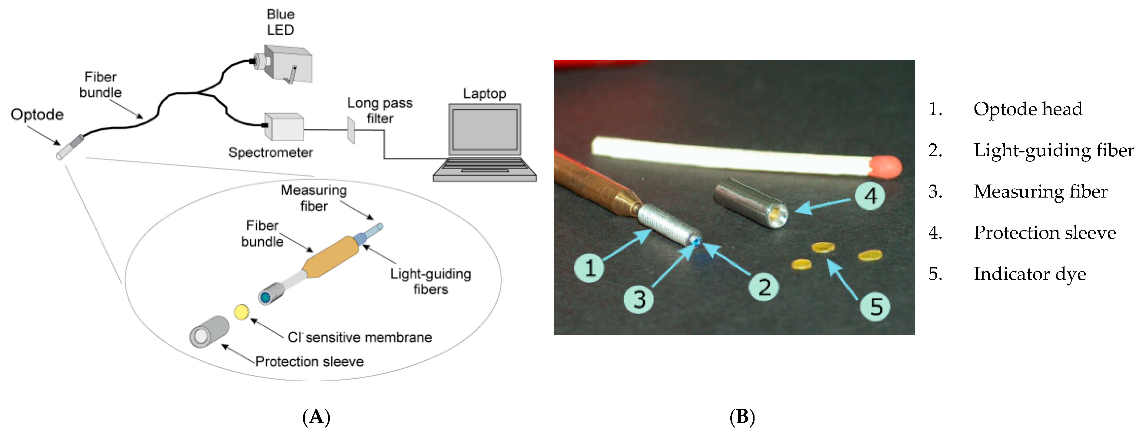 Sensors Free Full Text Autonomous Corrosion Assessment Of Reinforced Concrete Structures Feasibility Study Html Sensors Free Full Text Autonomous Corrosion Assessment Of Reinforced Concrete Structures Feasibility Study Html