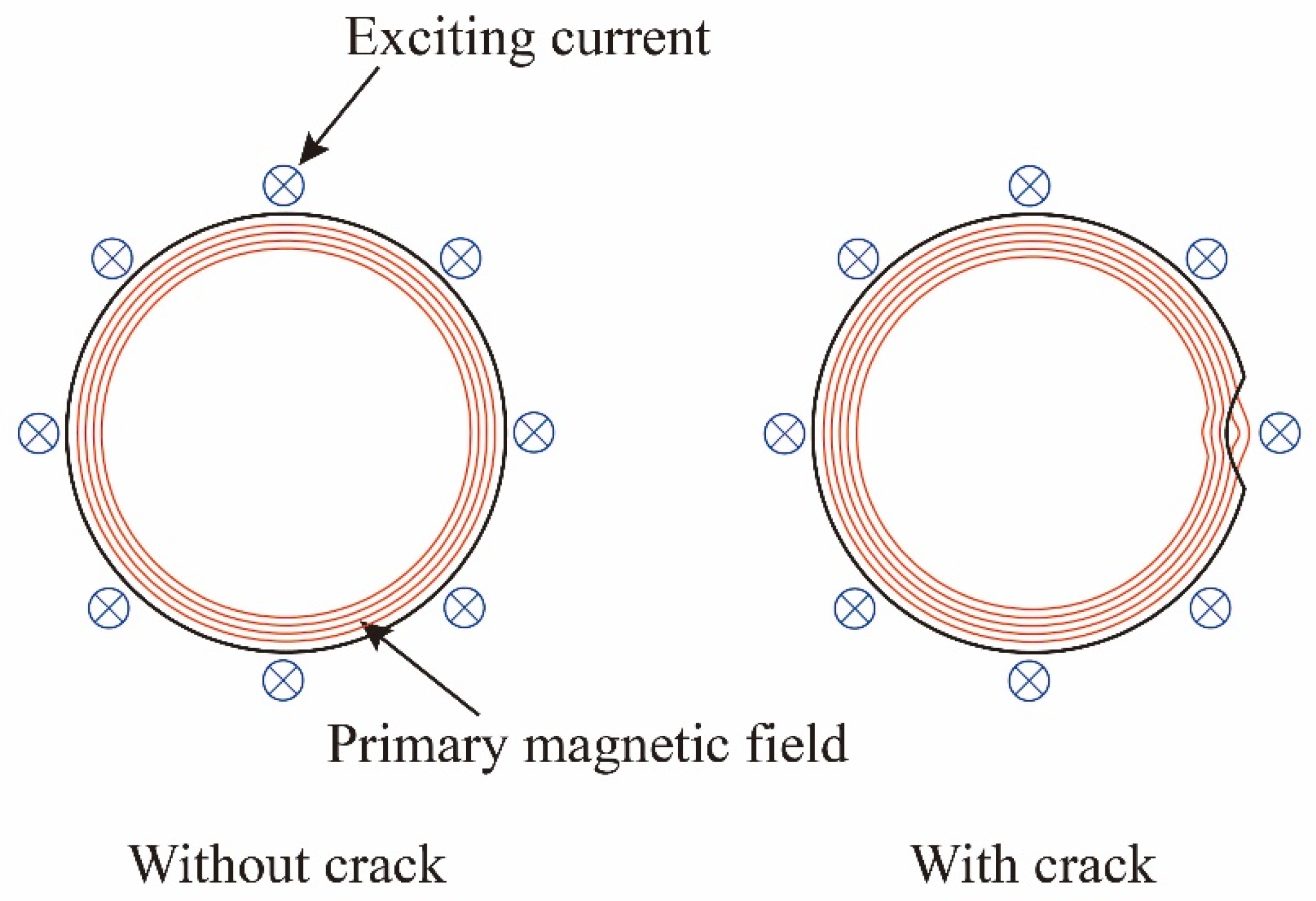 Sensors 20 06843 g005