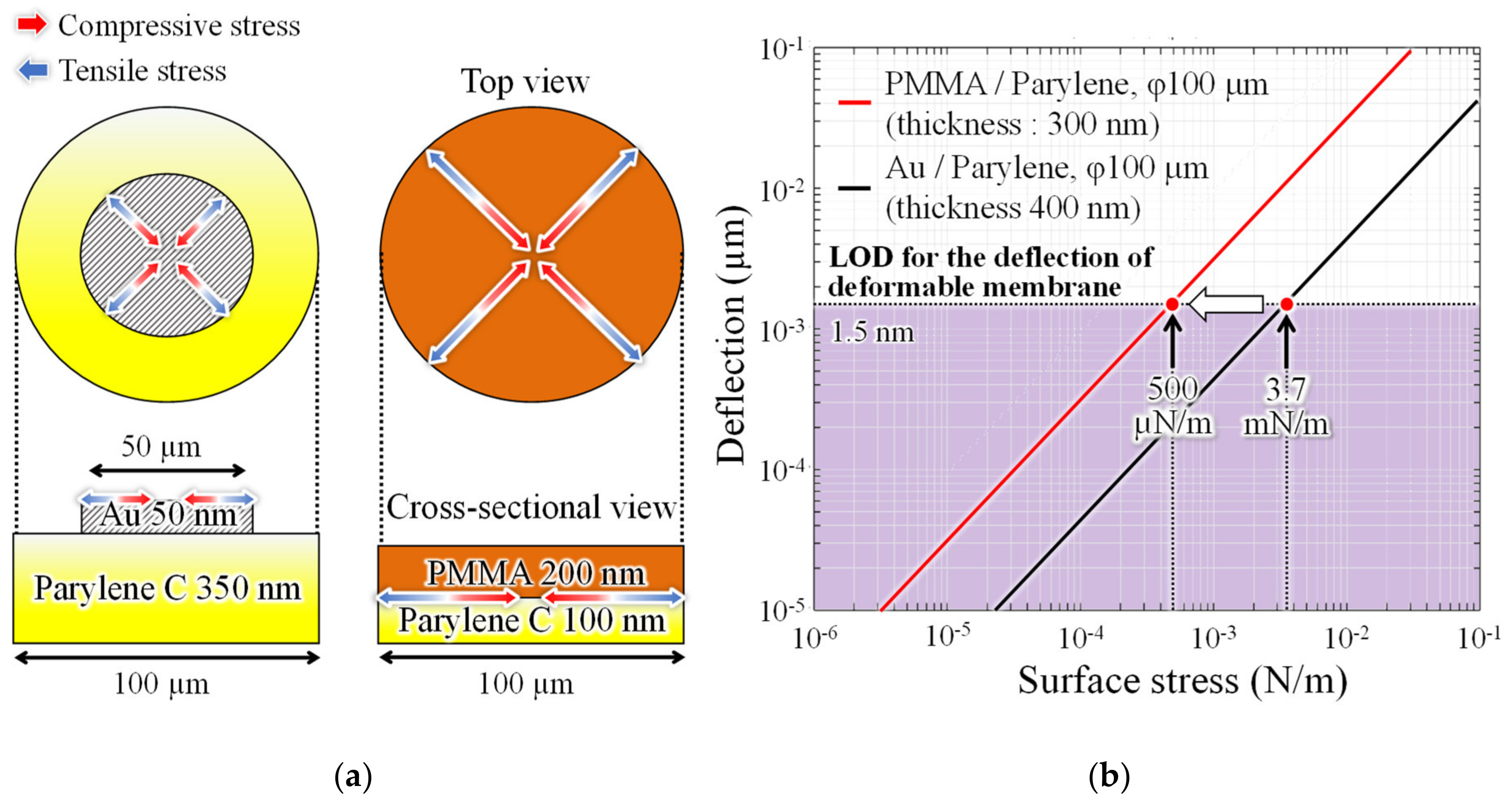 Sensors 20 06868 g003