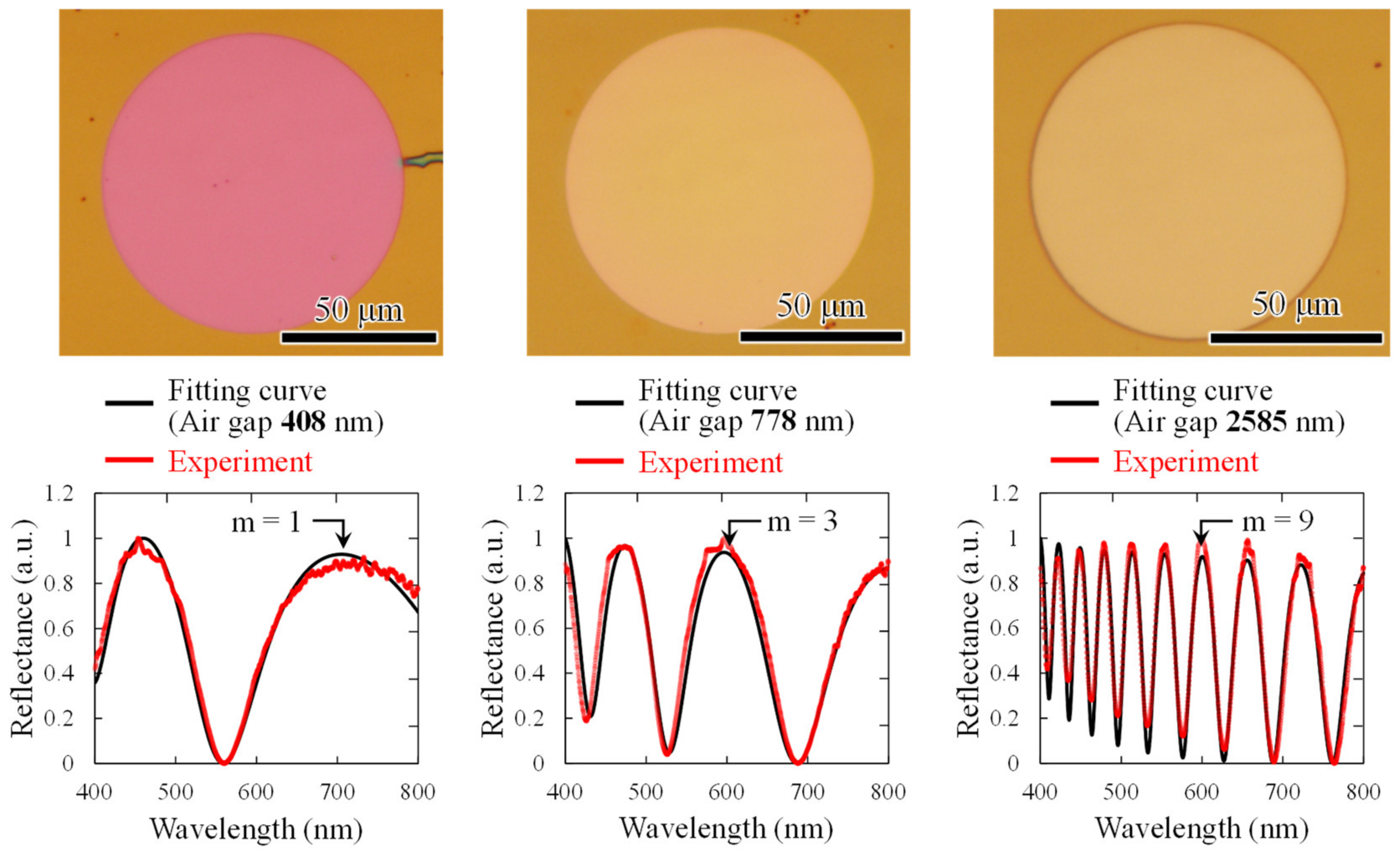 Sensors 20 06868 g005