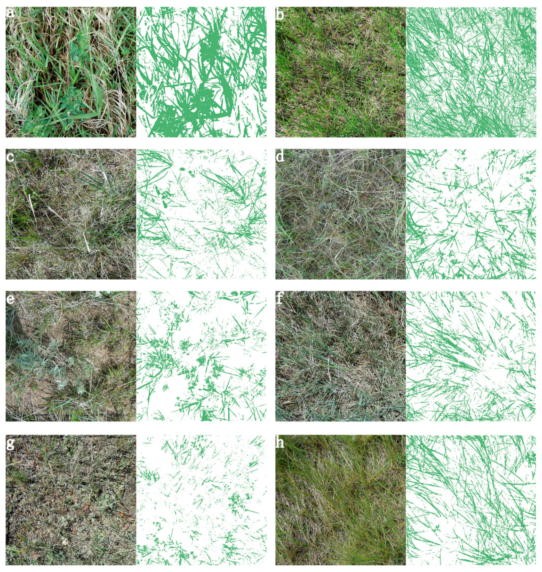 Sensors 20 06870 g007 Sensors 20 06870 g007