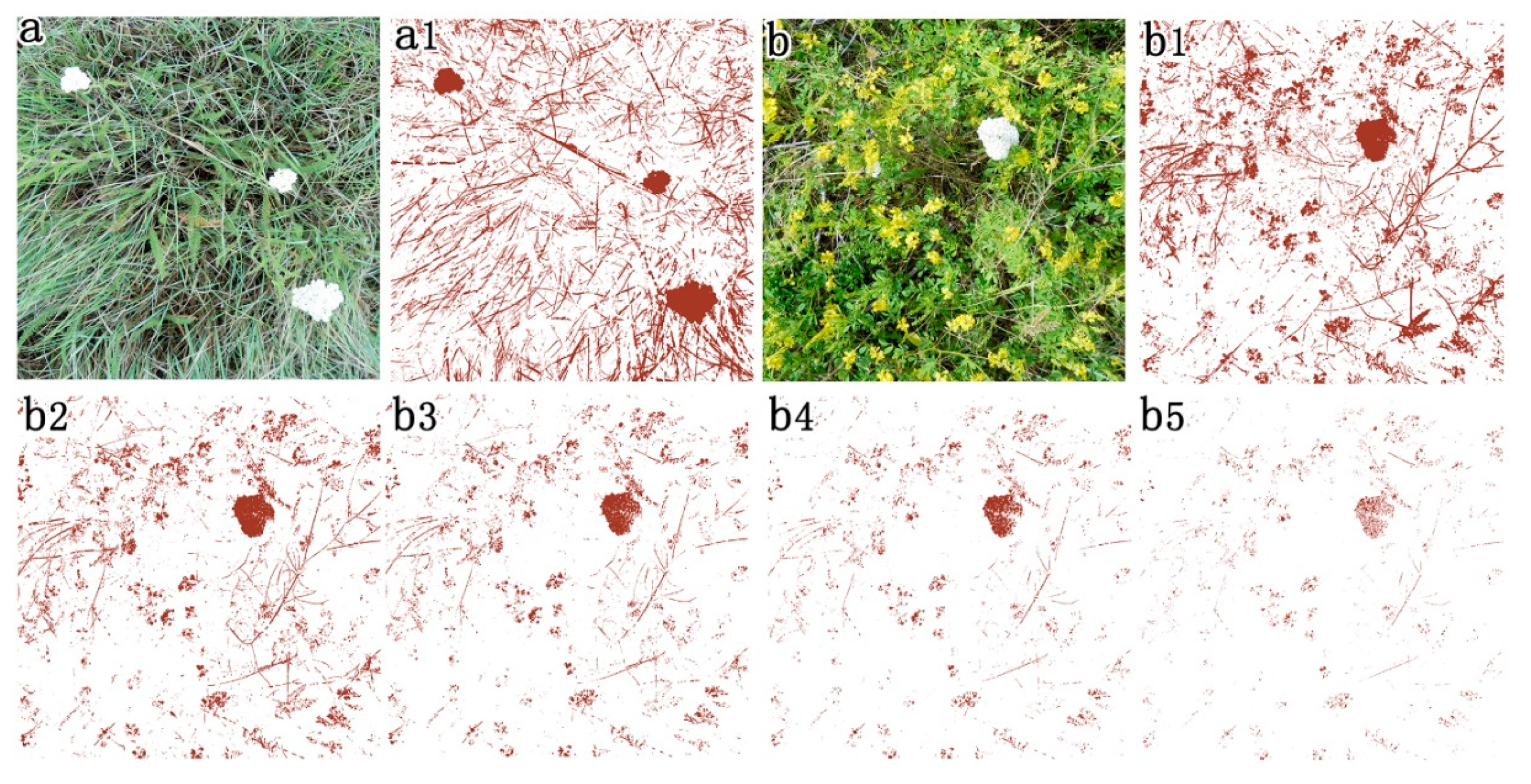 Sensors 20 06870 g008 Sensors 20 06870 g008