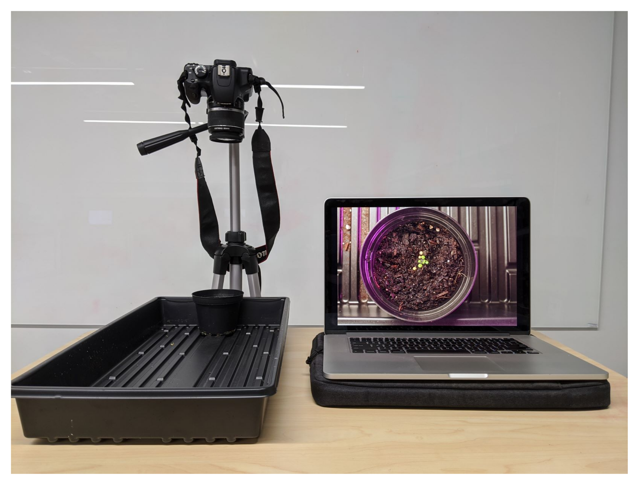 Sensors 20 06896 g004