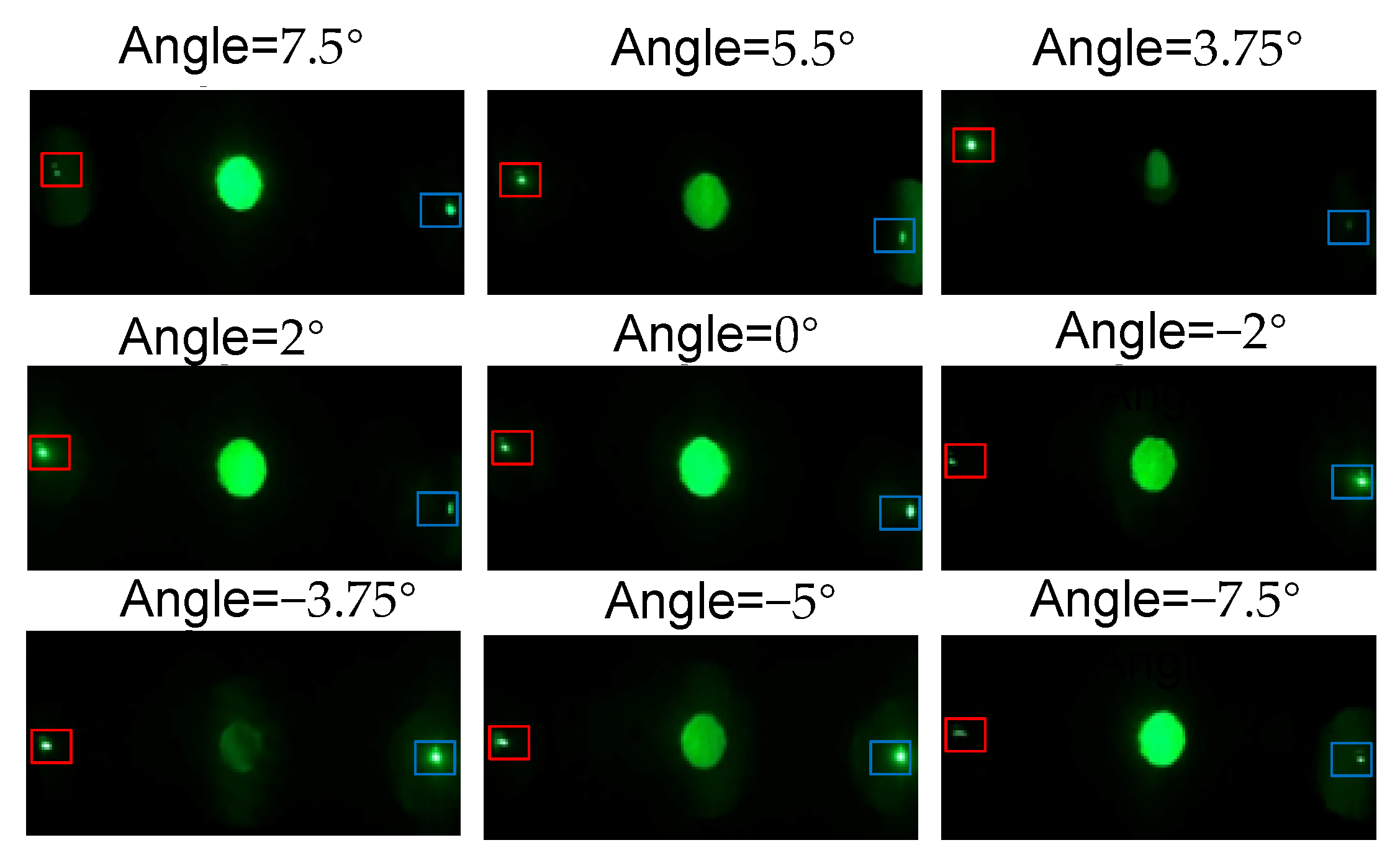 Sensors 20 06903 g011