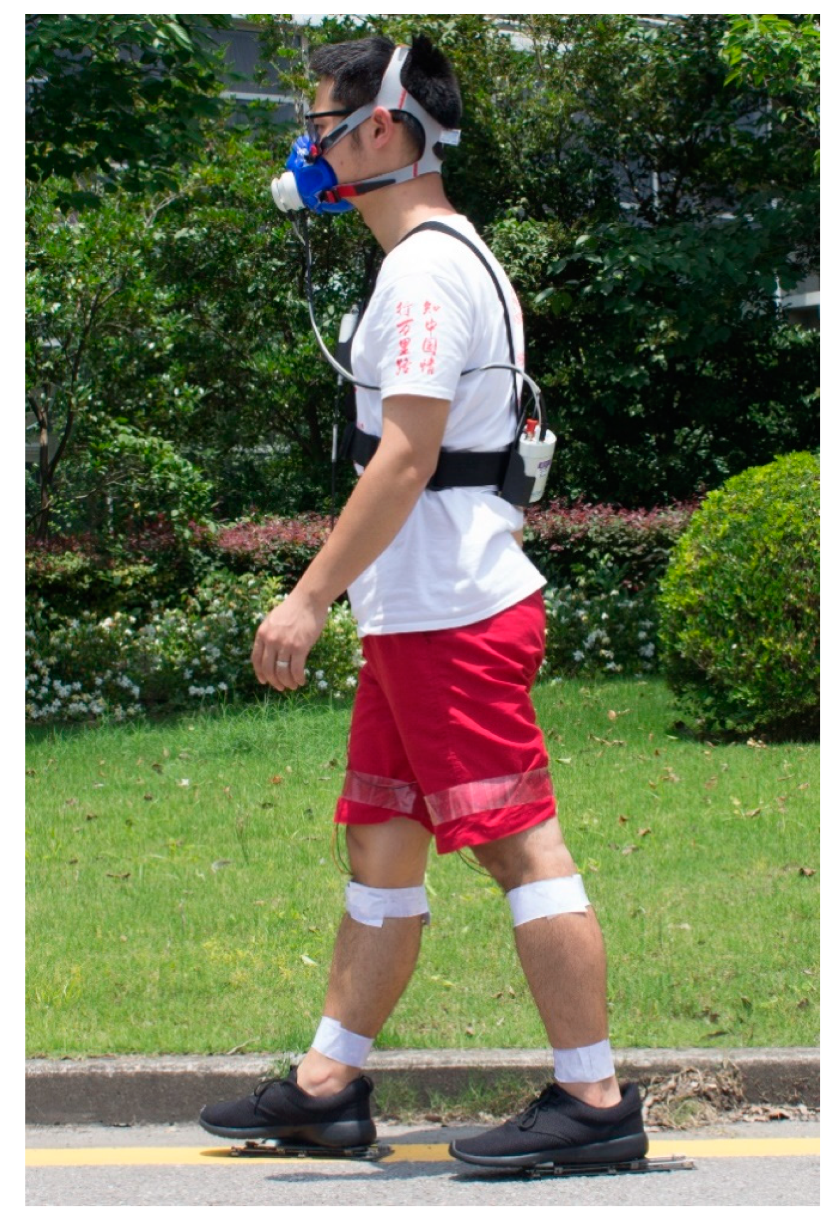 Sensors 20 06915 g002 Sensors 20 06915 g002