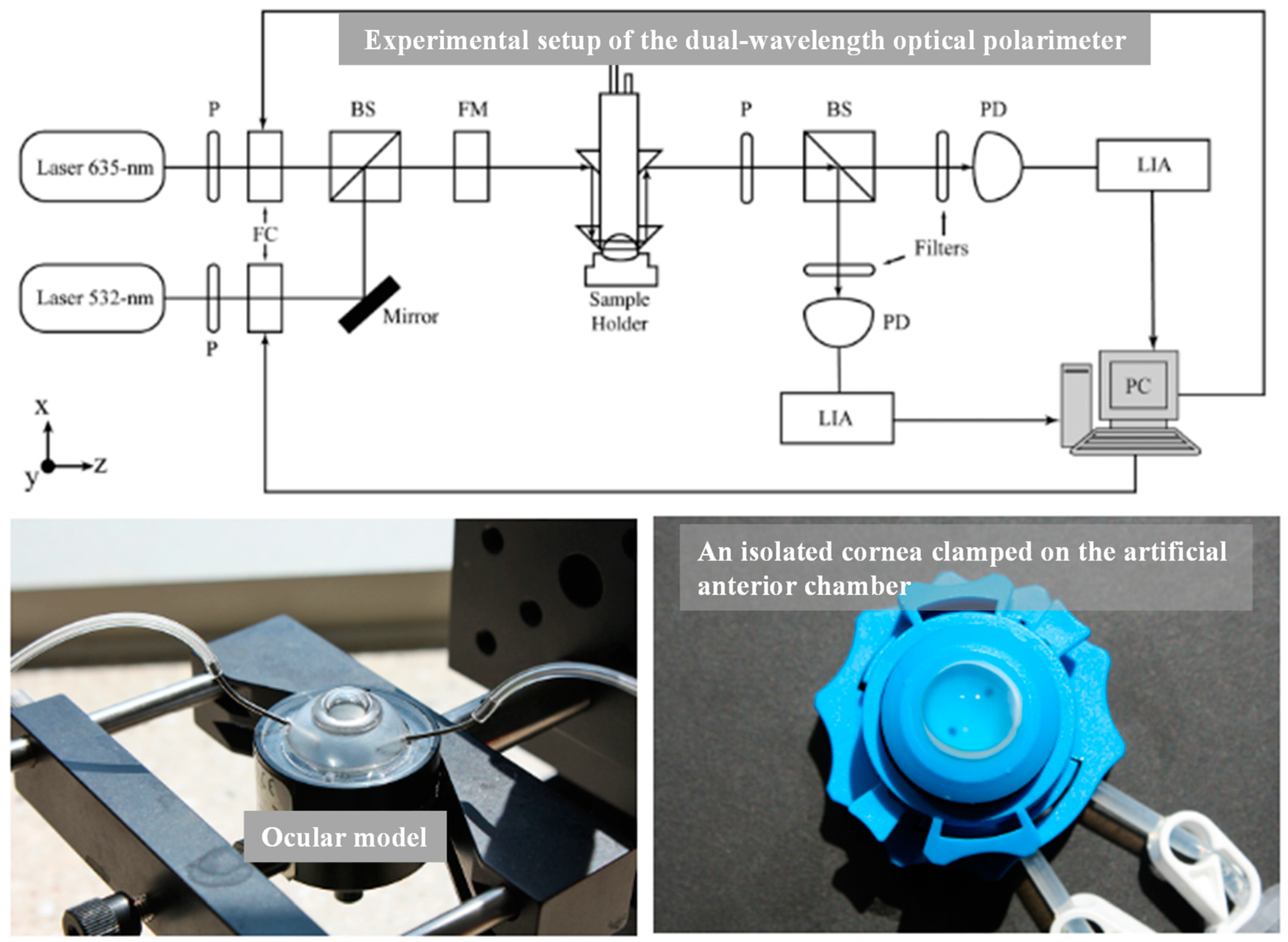 Sensors 20 06925 g004 Sensors 20 06925 g004
