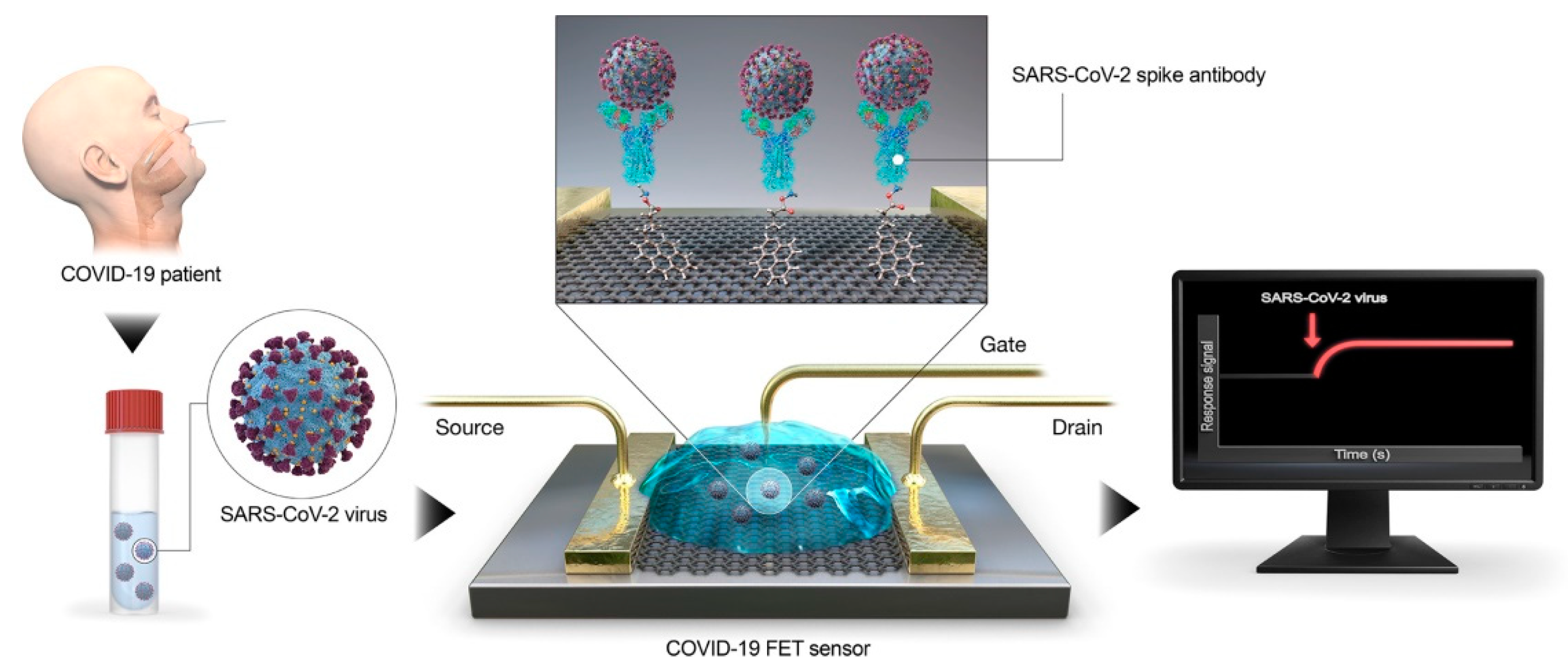 Sensors 20 06926 g005
