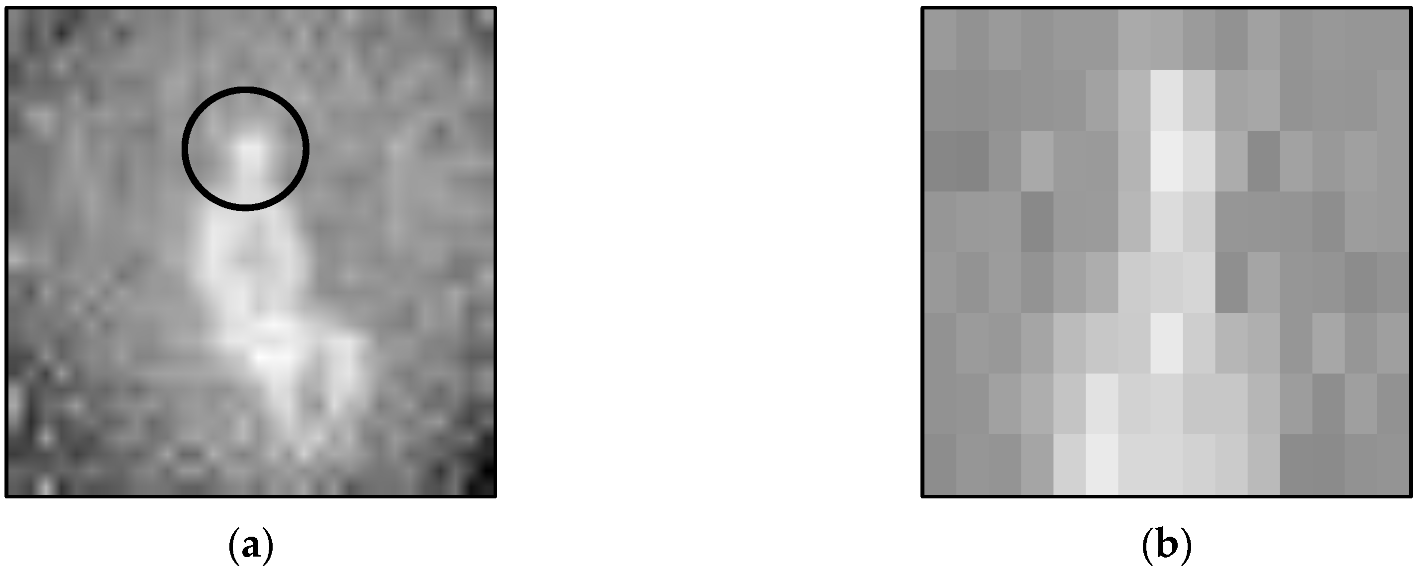 Sensors 20 06932 g004