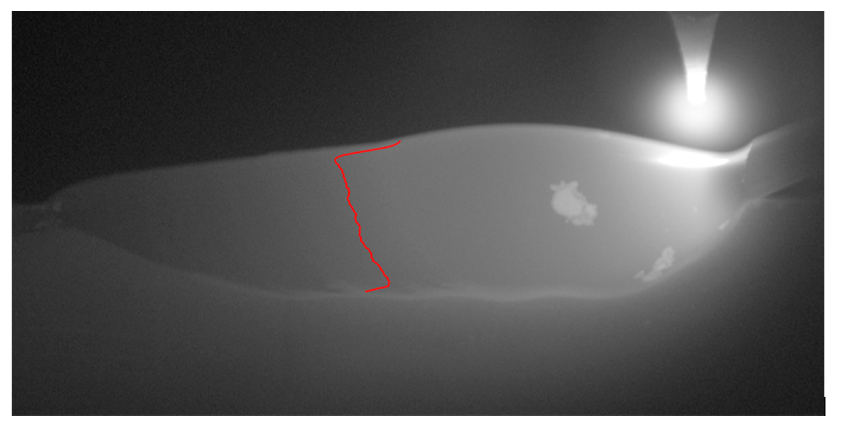 Sensors 20 06952 g004