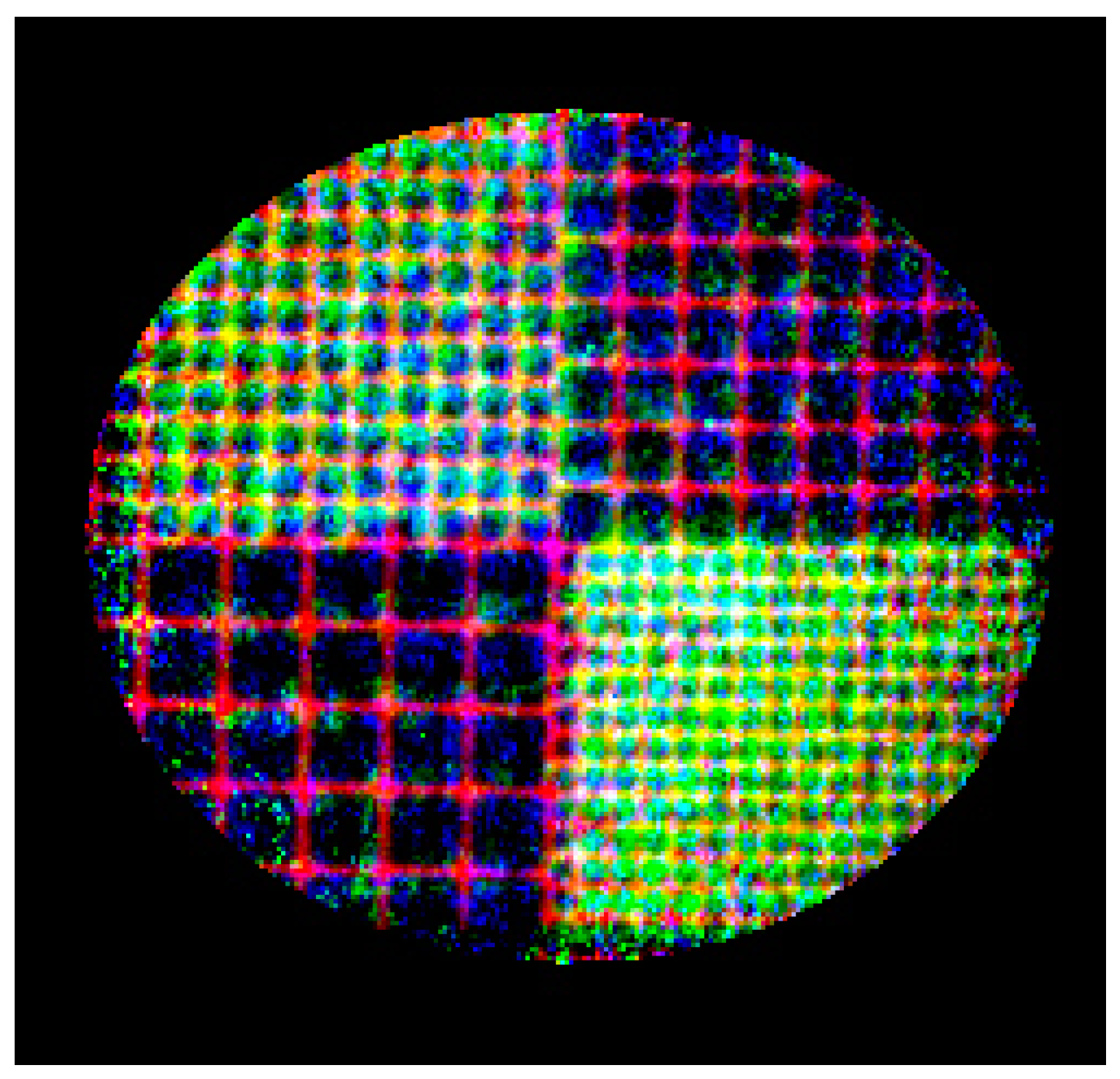 Sensors 20 06970 g008