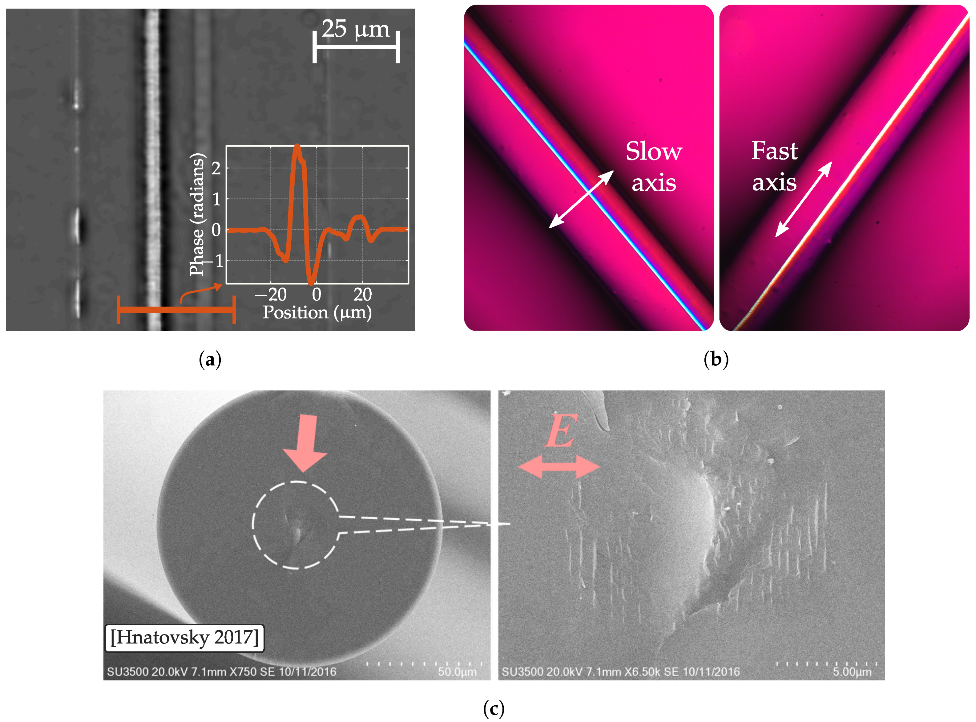 Sensors Free Full Text Optical Fiber Sensors By Direct Laser Processing A Review Html