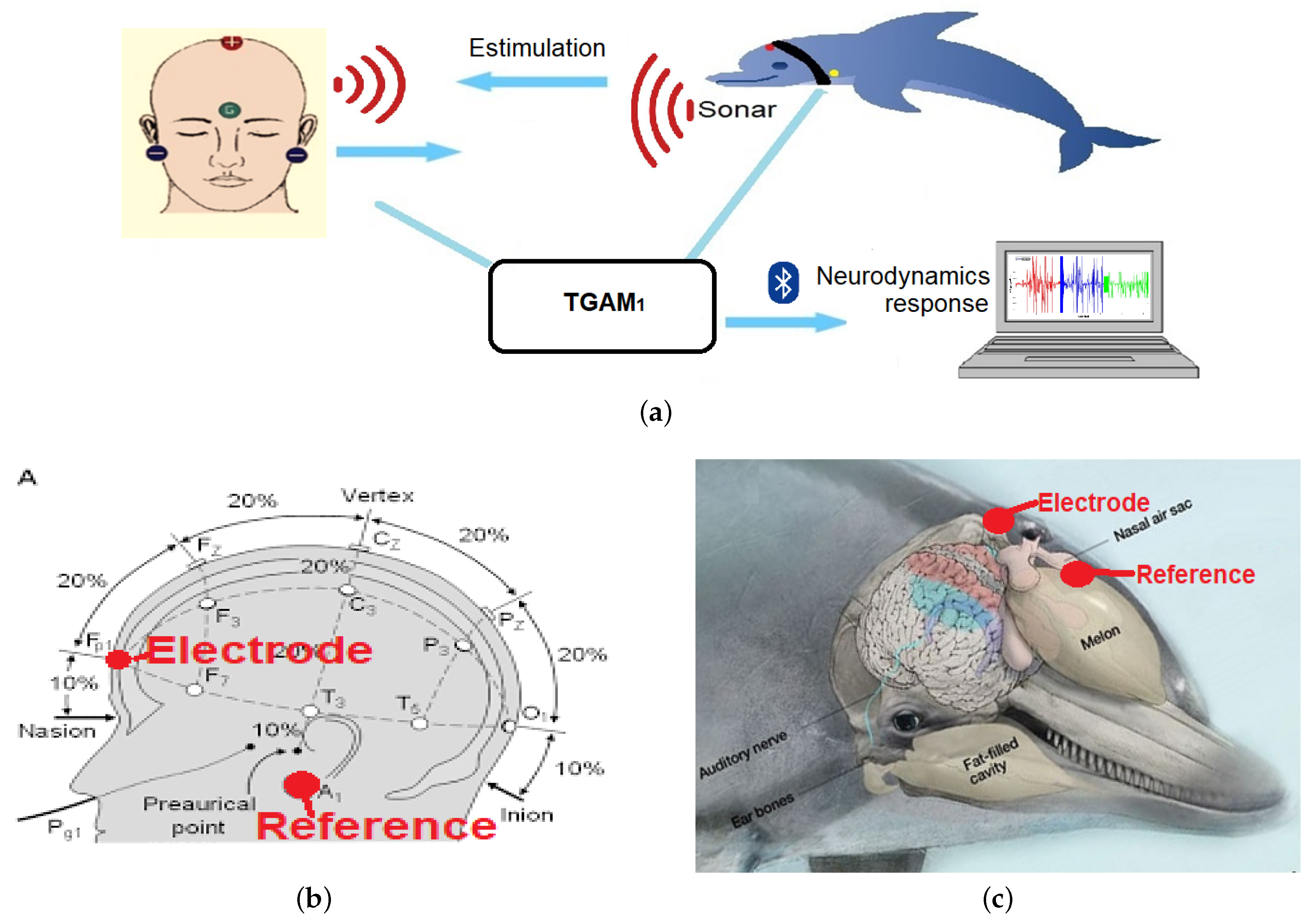 Sensors 20 06991 g010 Sensors 20 06991 g010