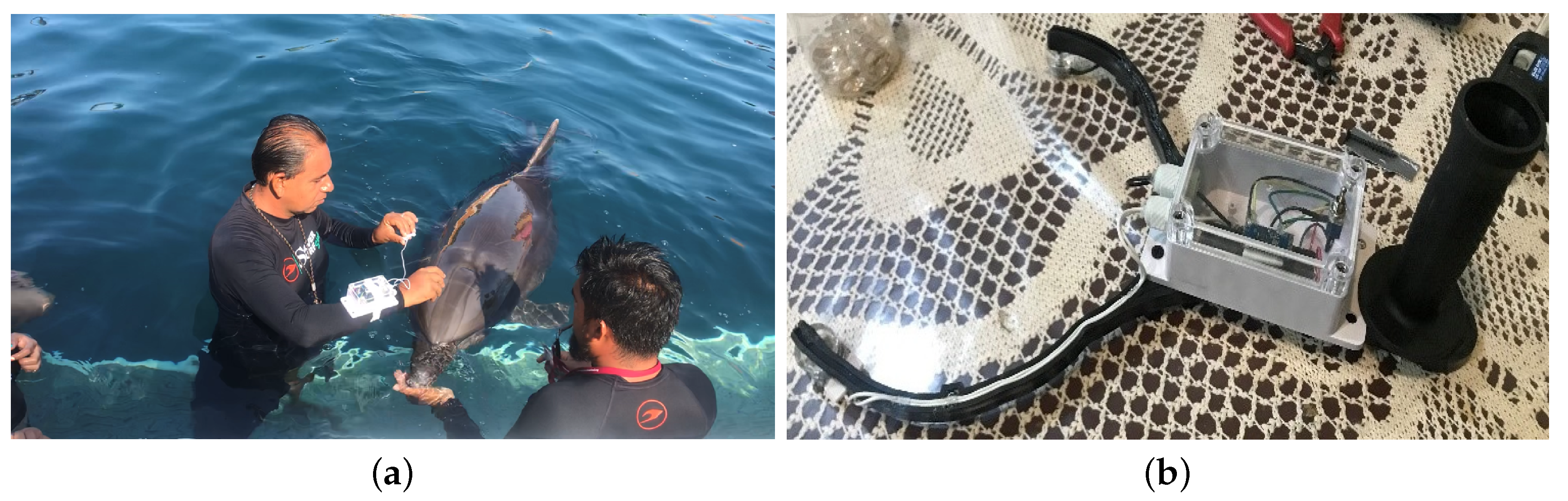 Sensors 20 06991 g012 Sensors 20 06991 g012