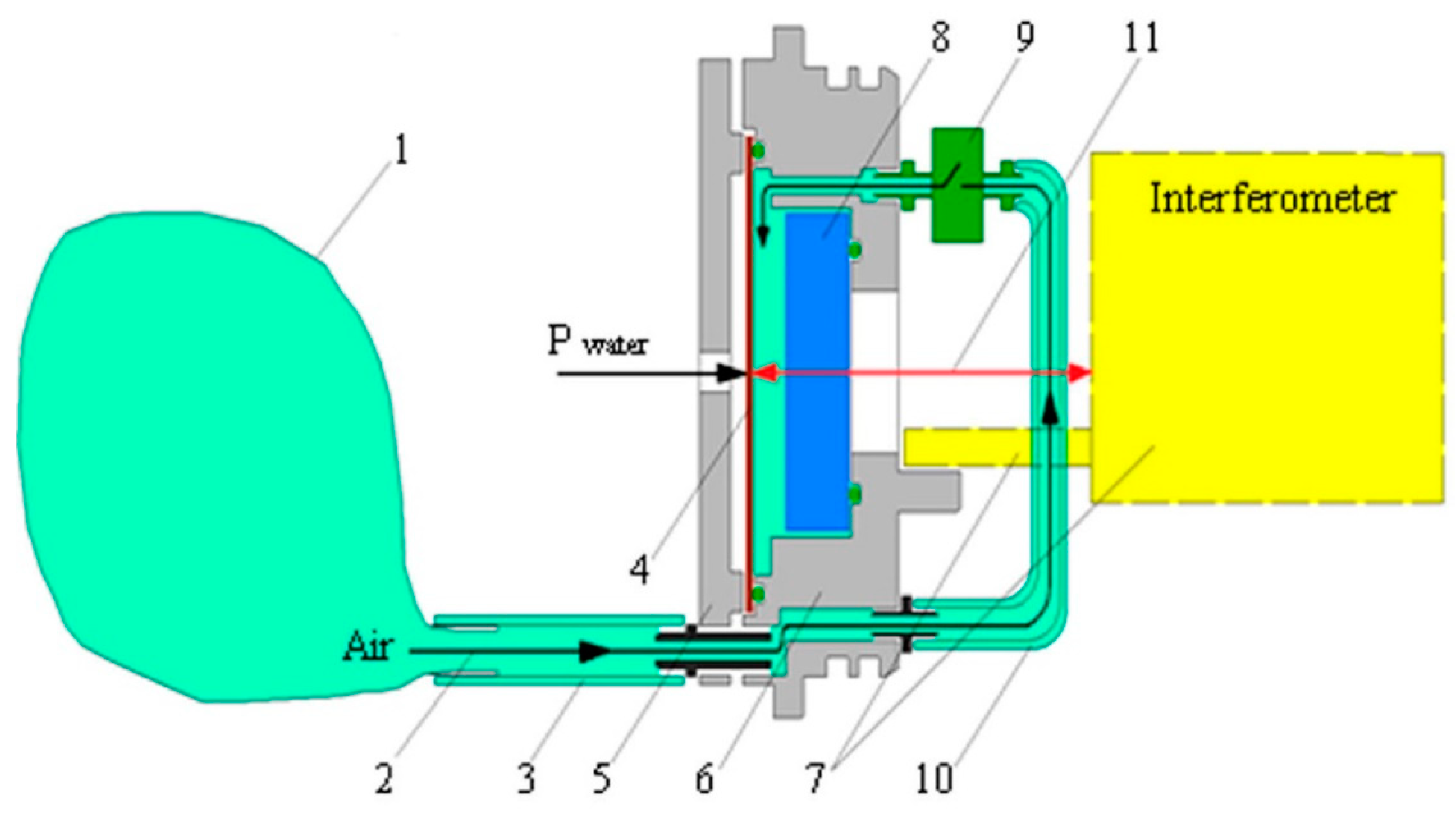 Sensors 20 06998 g002