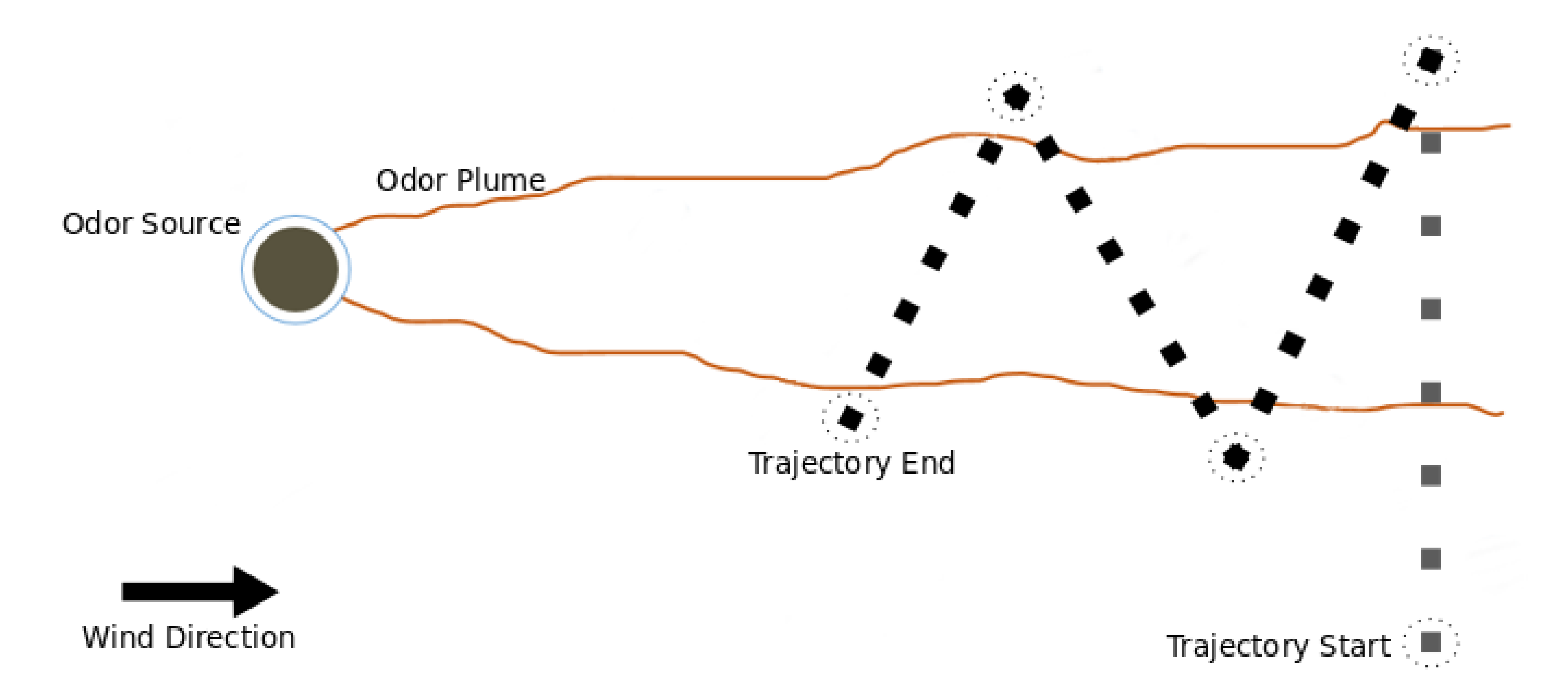 Sensors 20 07025 g002