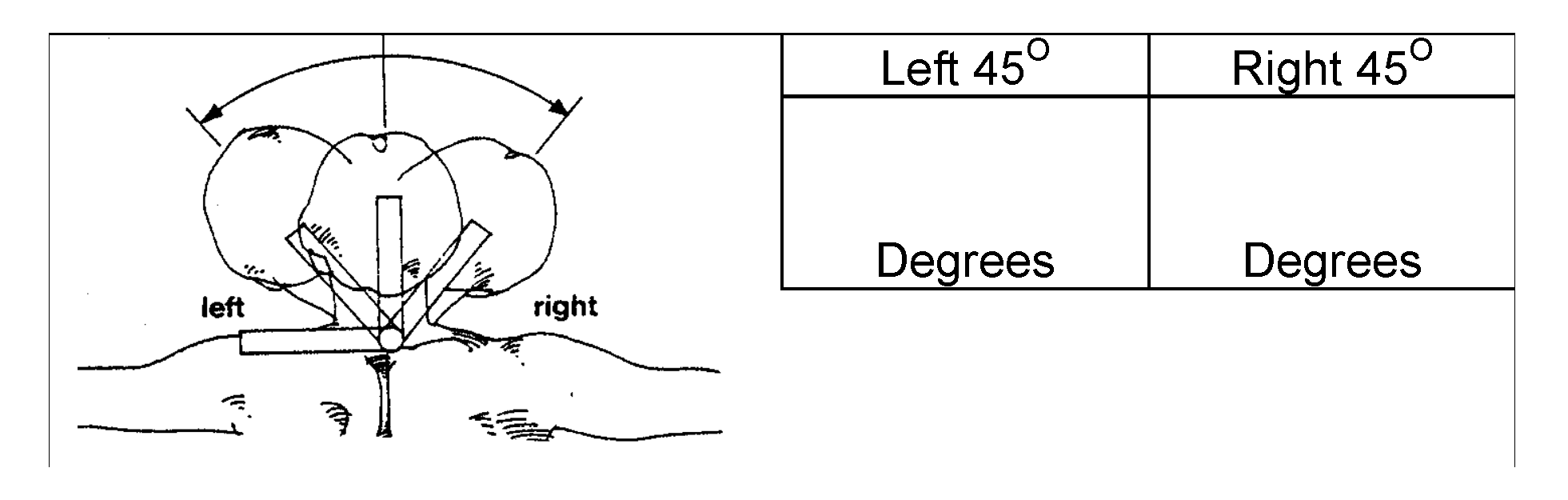 Sensors 20 07037 g004