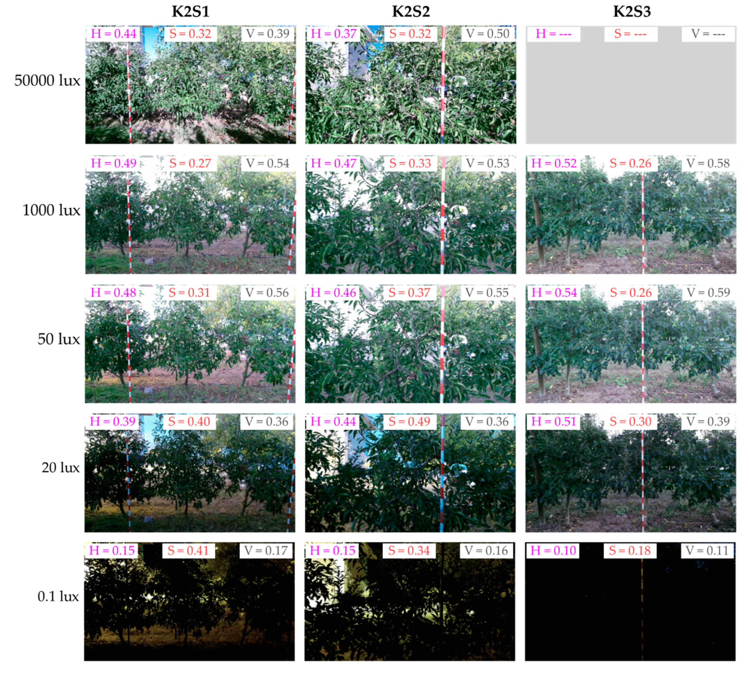 Sensors 20 07072 g009 Sensors 20 07072 g009