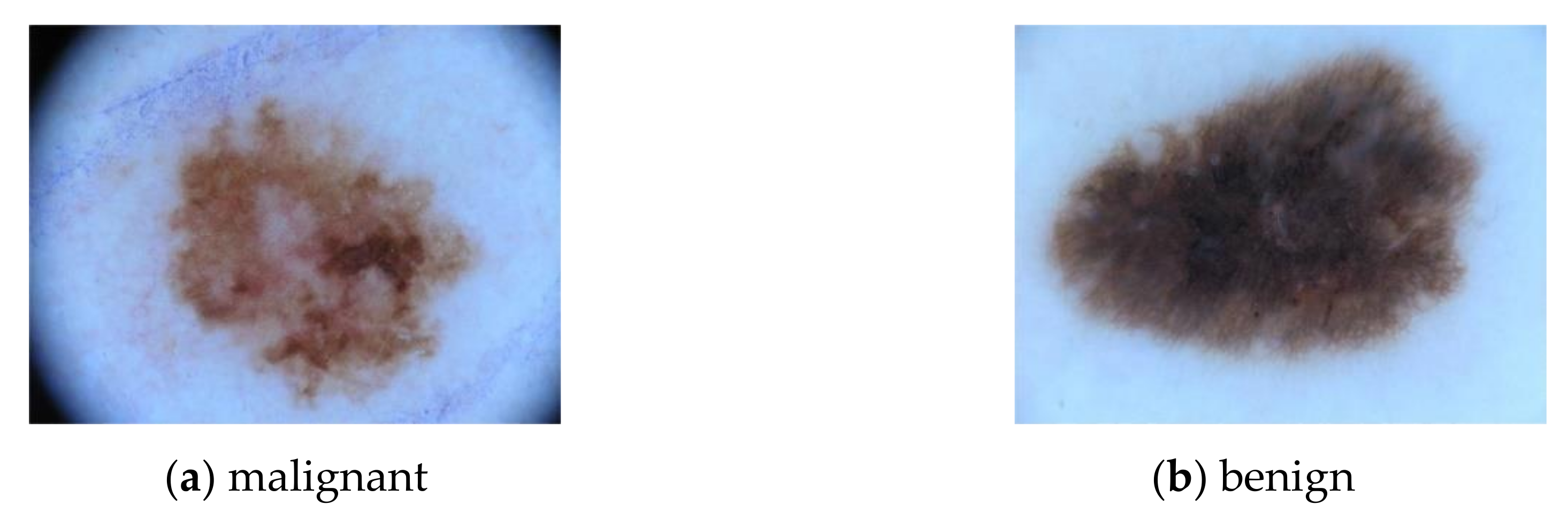 Sensors 20 07080 g004 Sensors 20 07080 g004