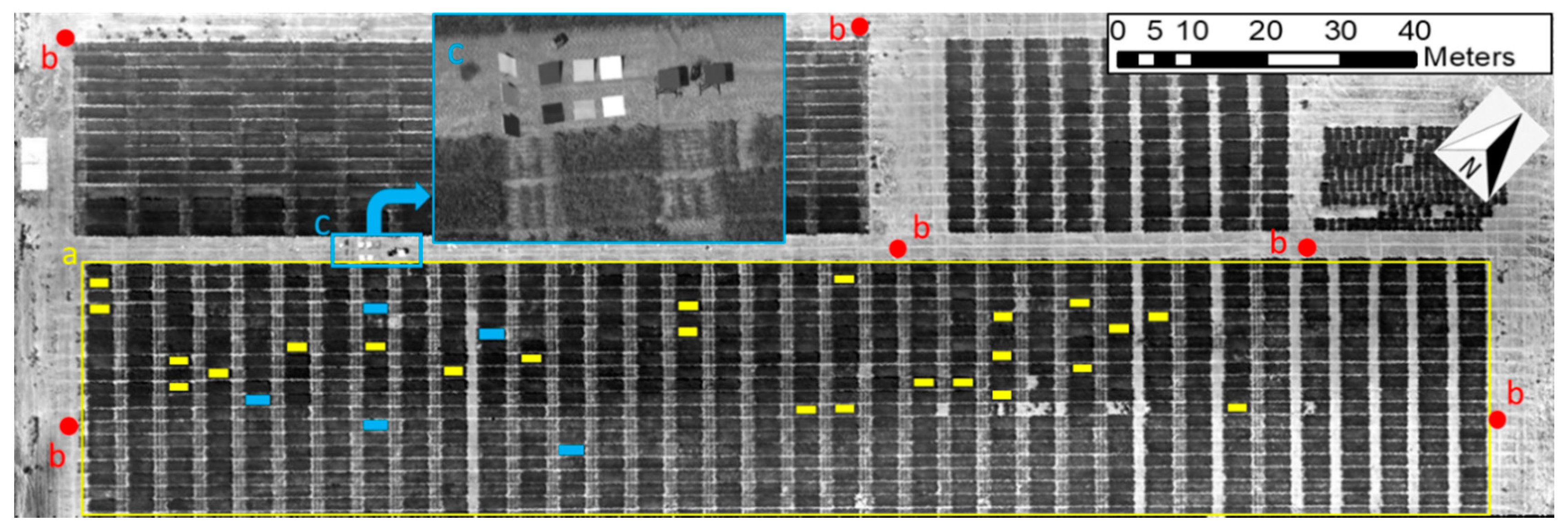 Sensors 20 07098 g005 Sensors 20 07098 g005