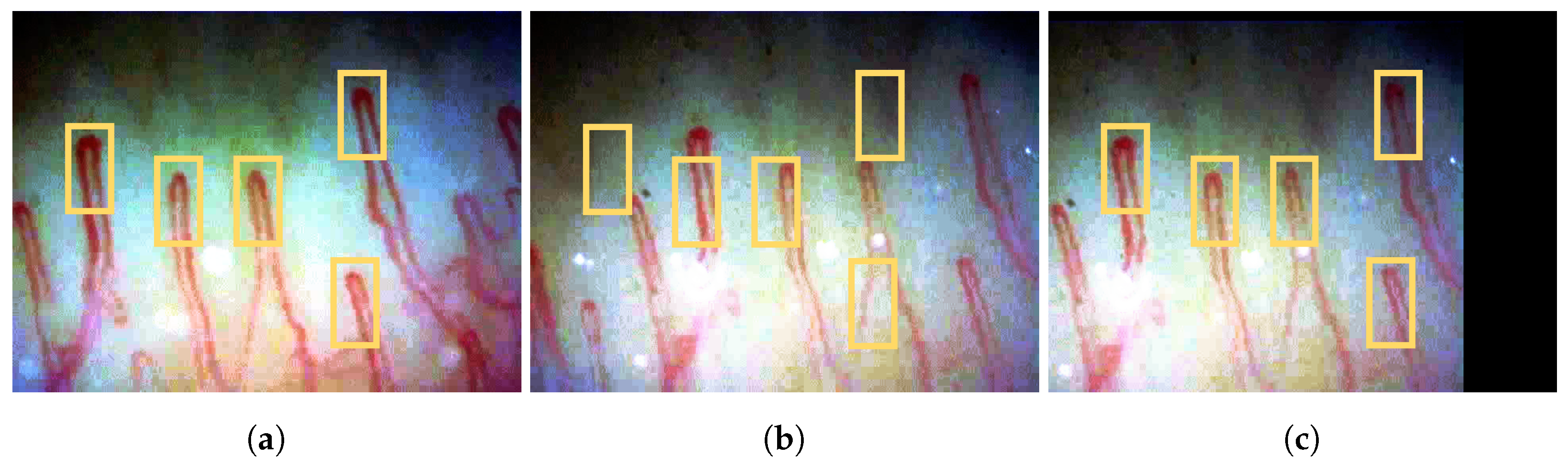 Sensors 20 07101 g005