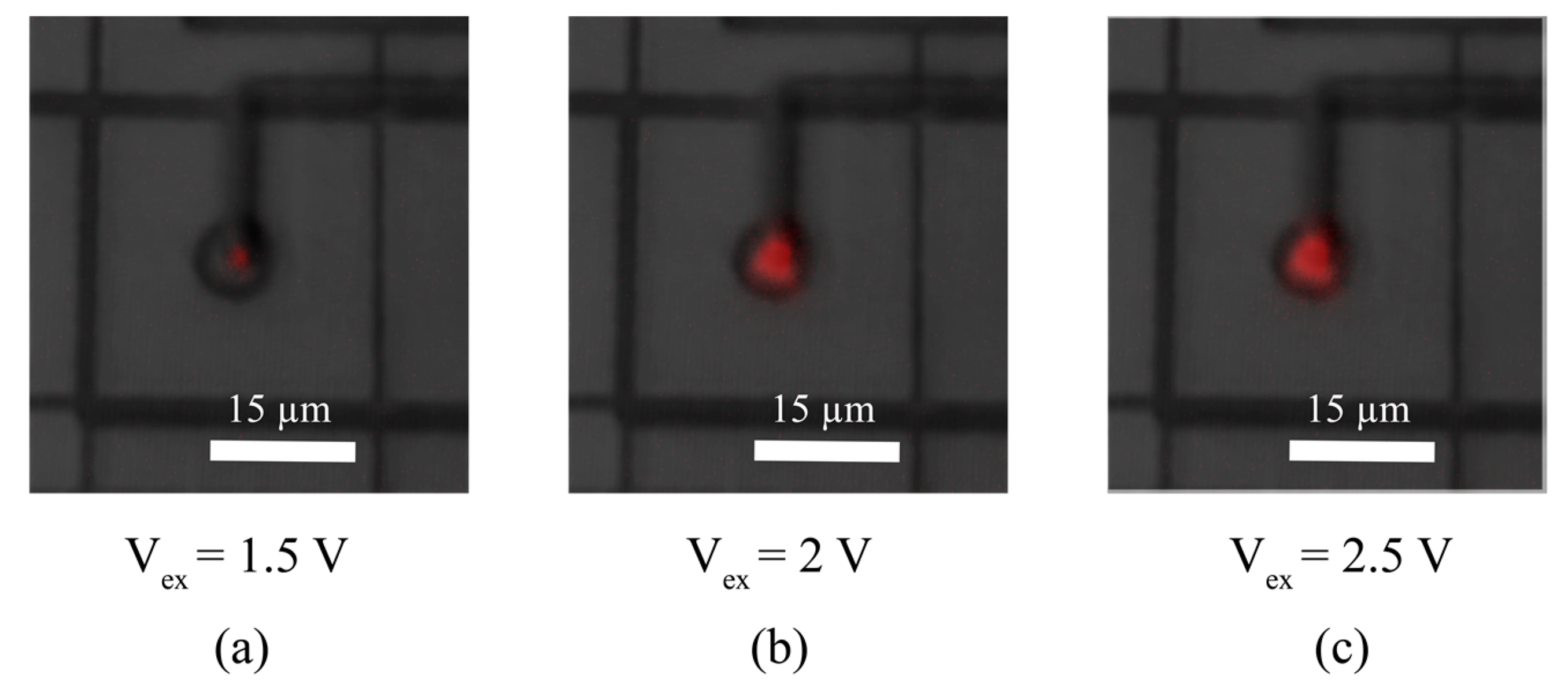 Sensors 20 07105 g010