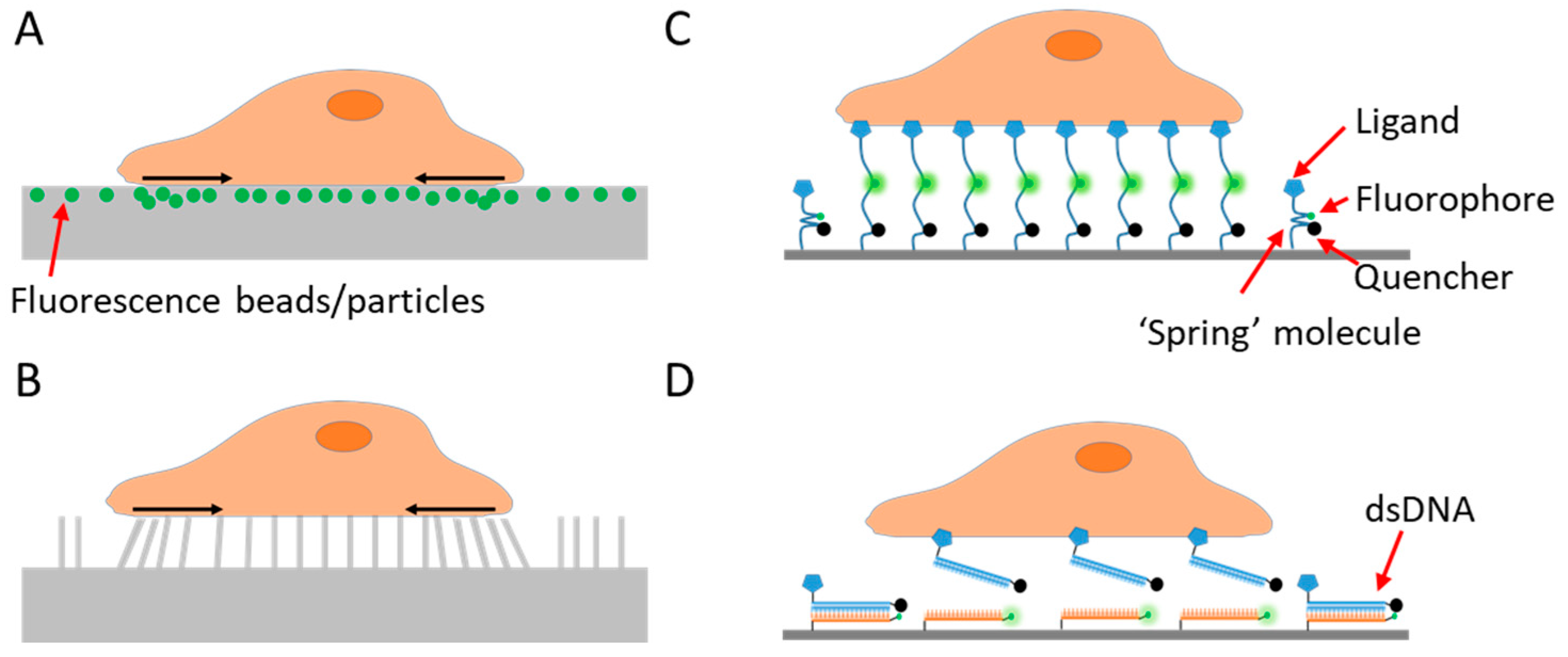 Sensors 20 07128 g001 Sensors 20 07128 g001